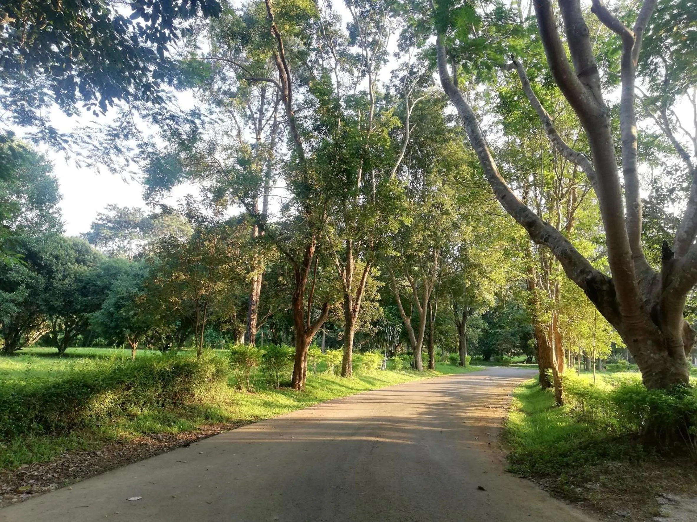 Natural landscape in Chayana Resort
