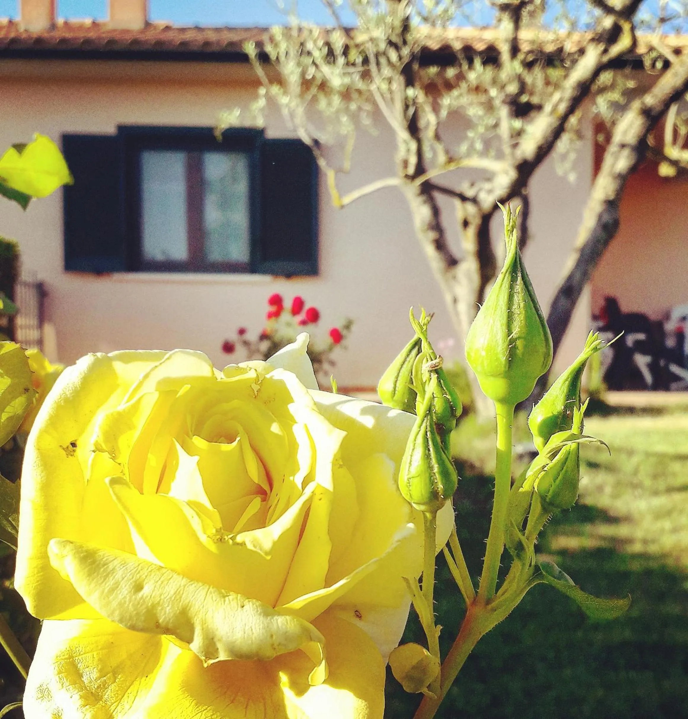 Residence Ai Campi Da Golf Saturnia