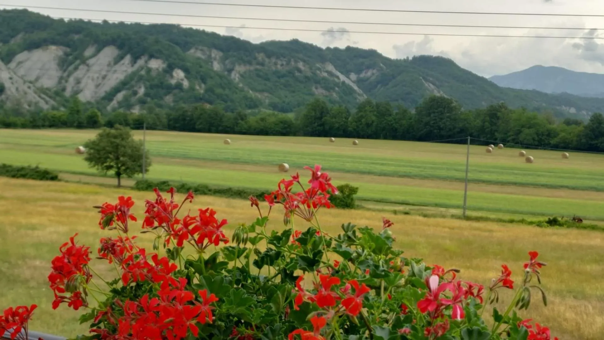 B&B Villa S Anna Hospitality Solutions