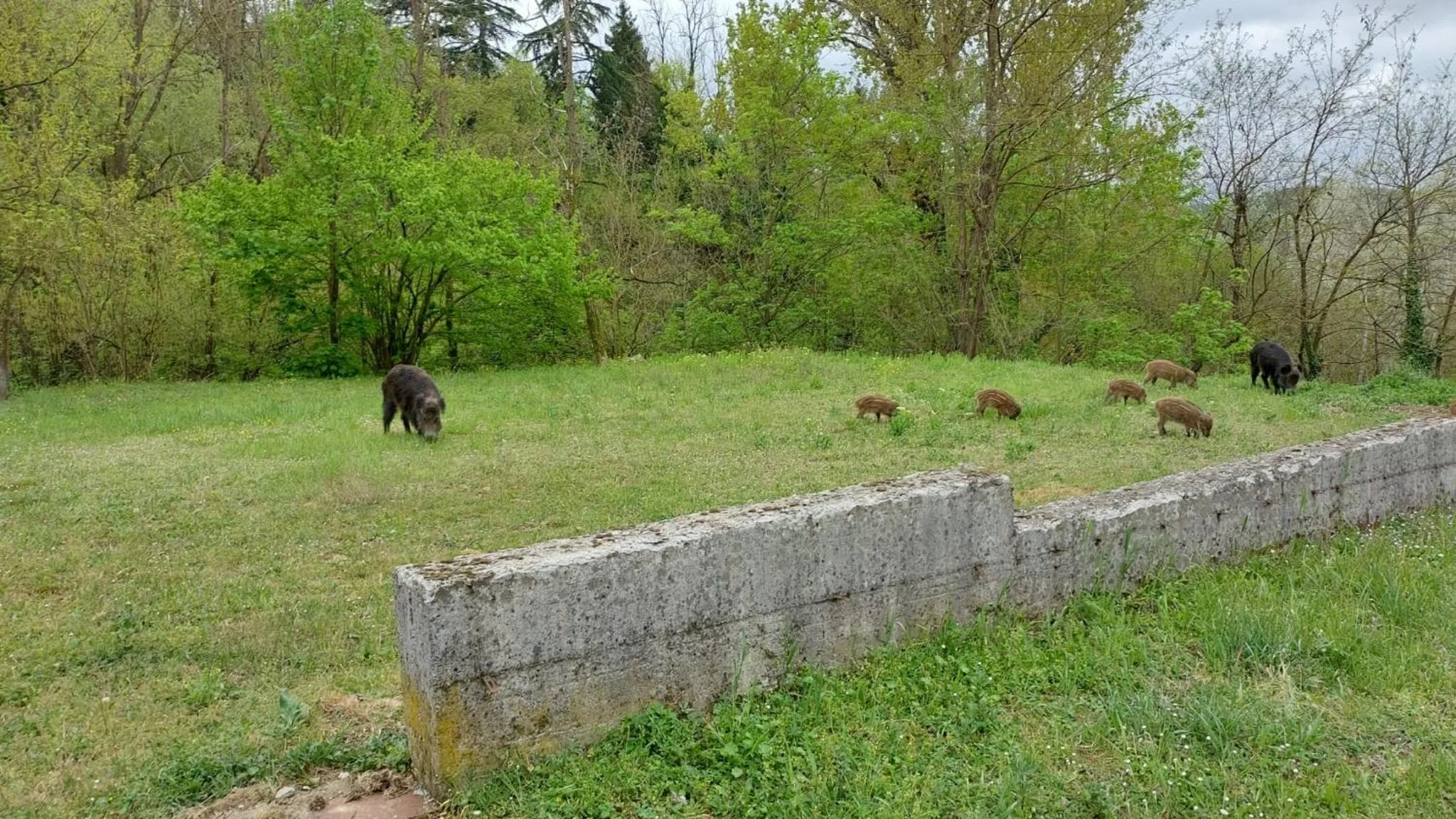 B&B Villa S Anna Hospitality Solutions