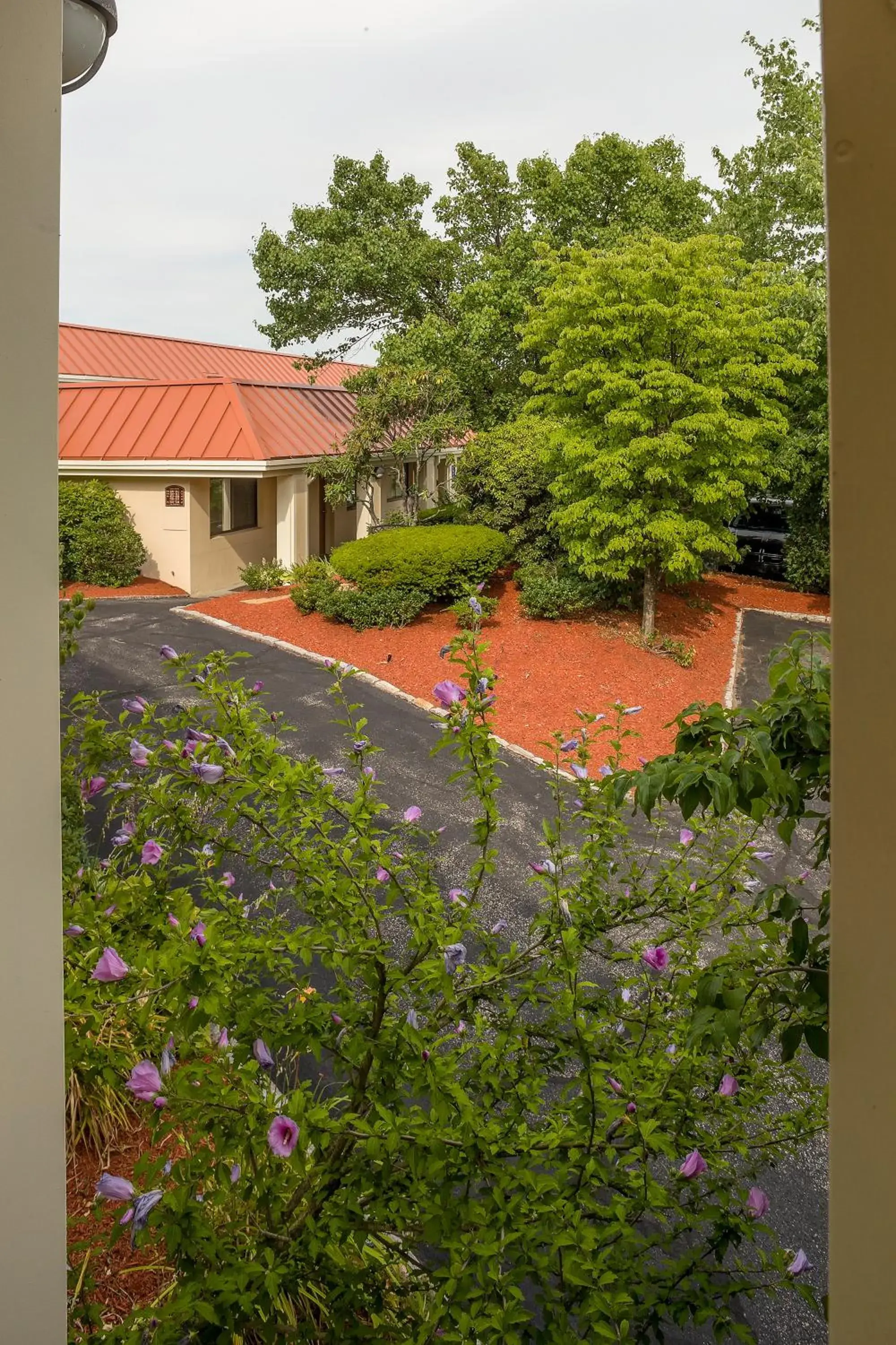 Facade/entrance in Hotel Boston Facade/entrance in Hotel Boston
