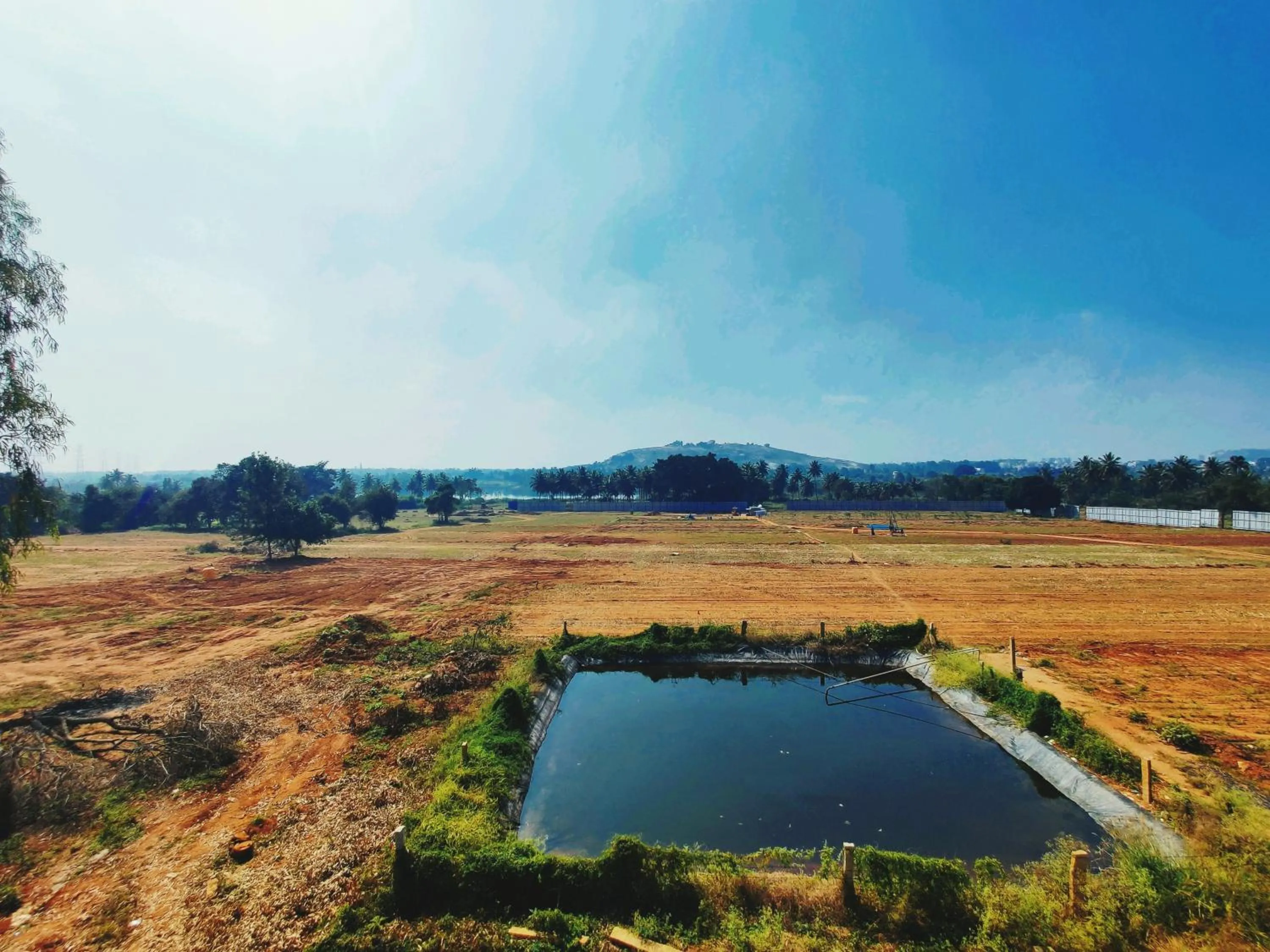 Natural landscape in Hotel Airport City