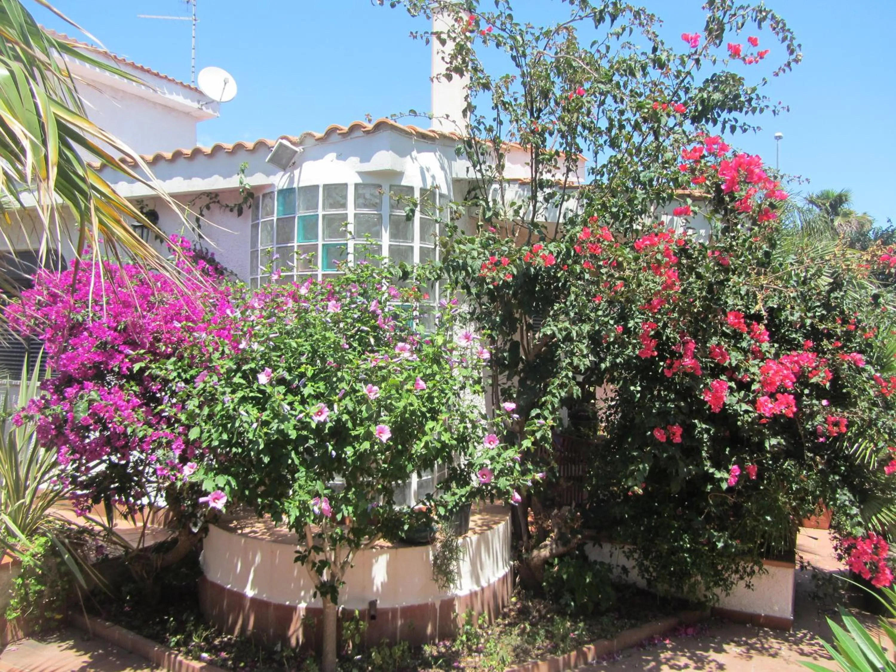 Garden view in Sole e Sale B&B