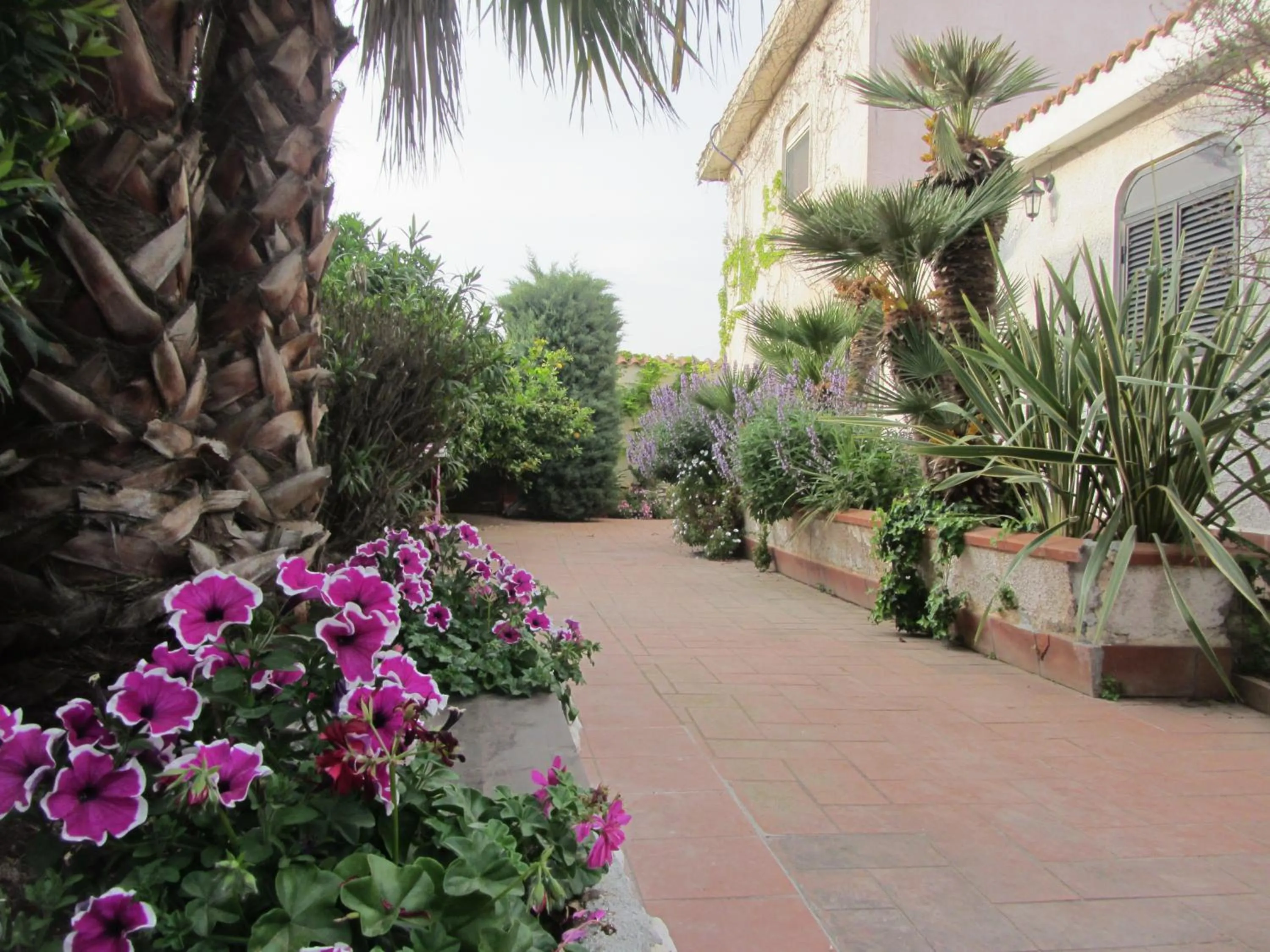 Garden view in Sole e Sale B&B