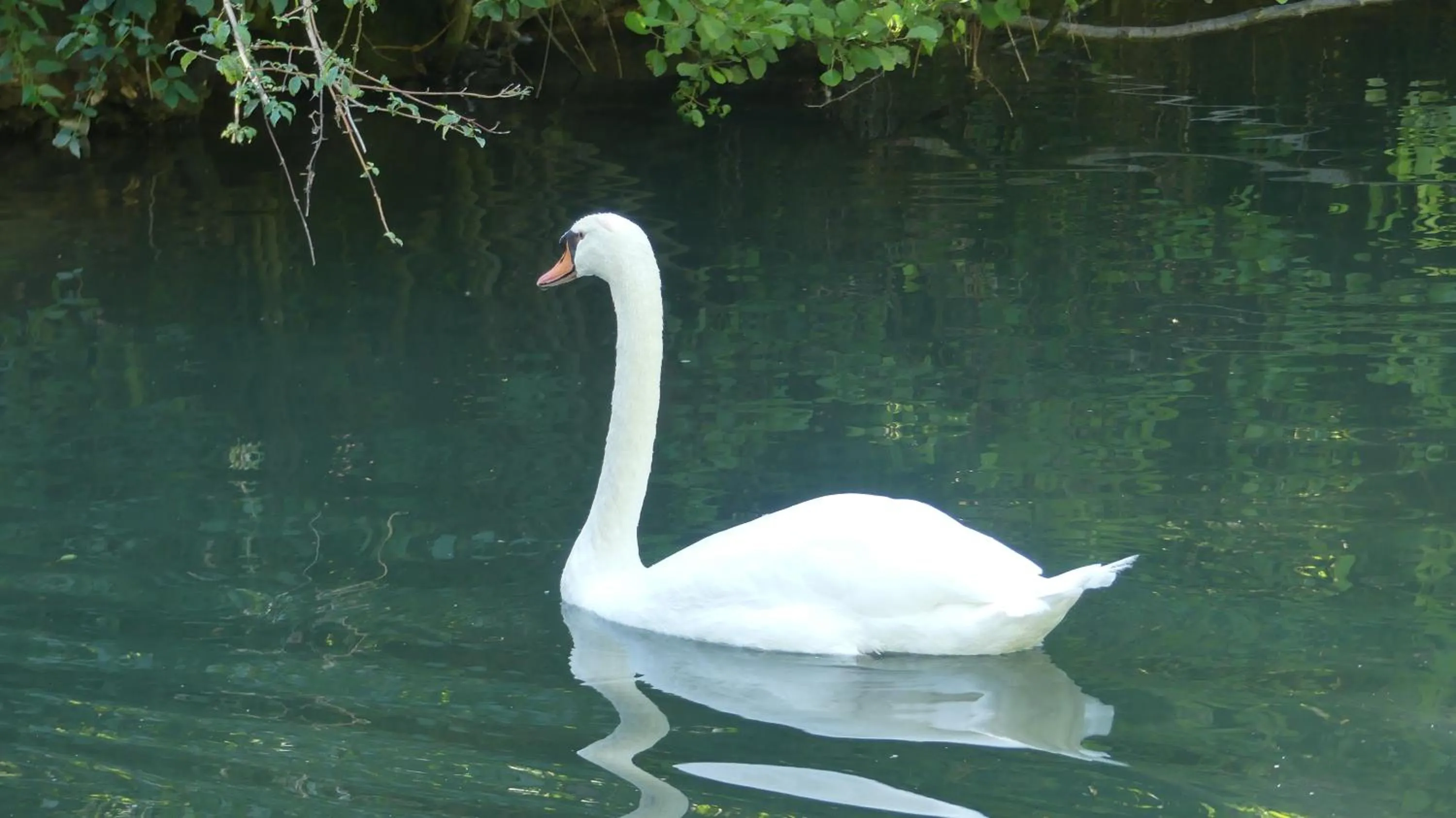 River view in Maison du Moulin