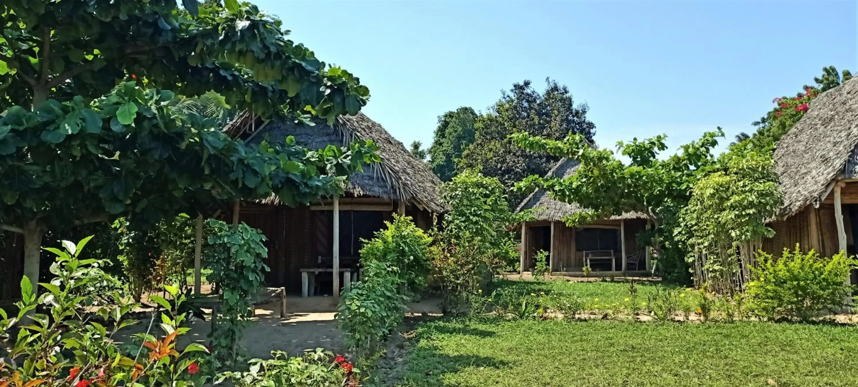 Garden in Jabar Lodge
