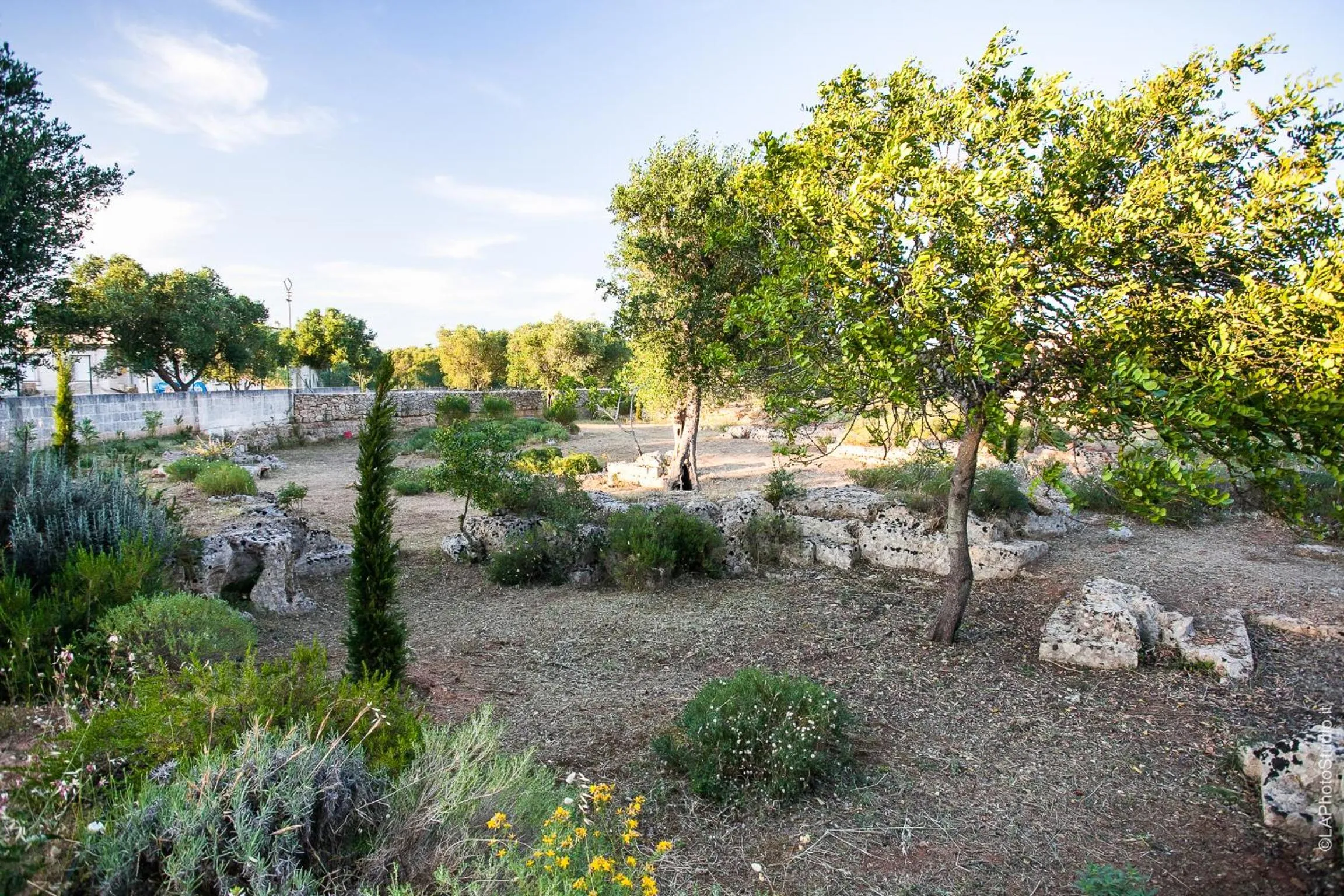 Natural landscape in Villa Delle Palme