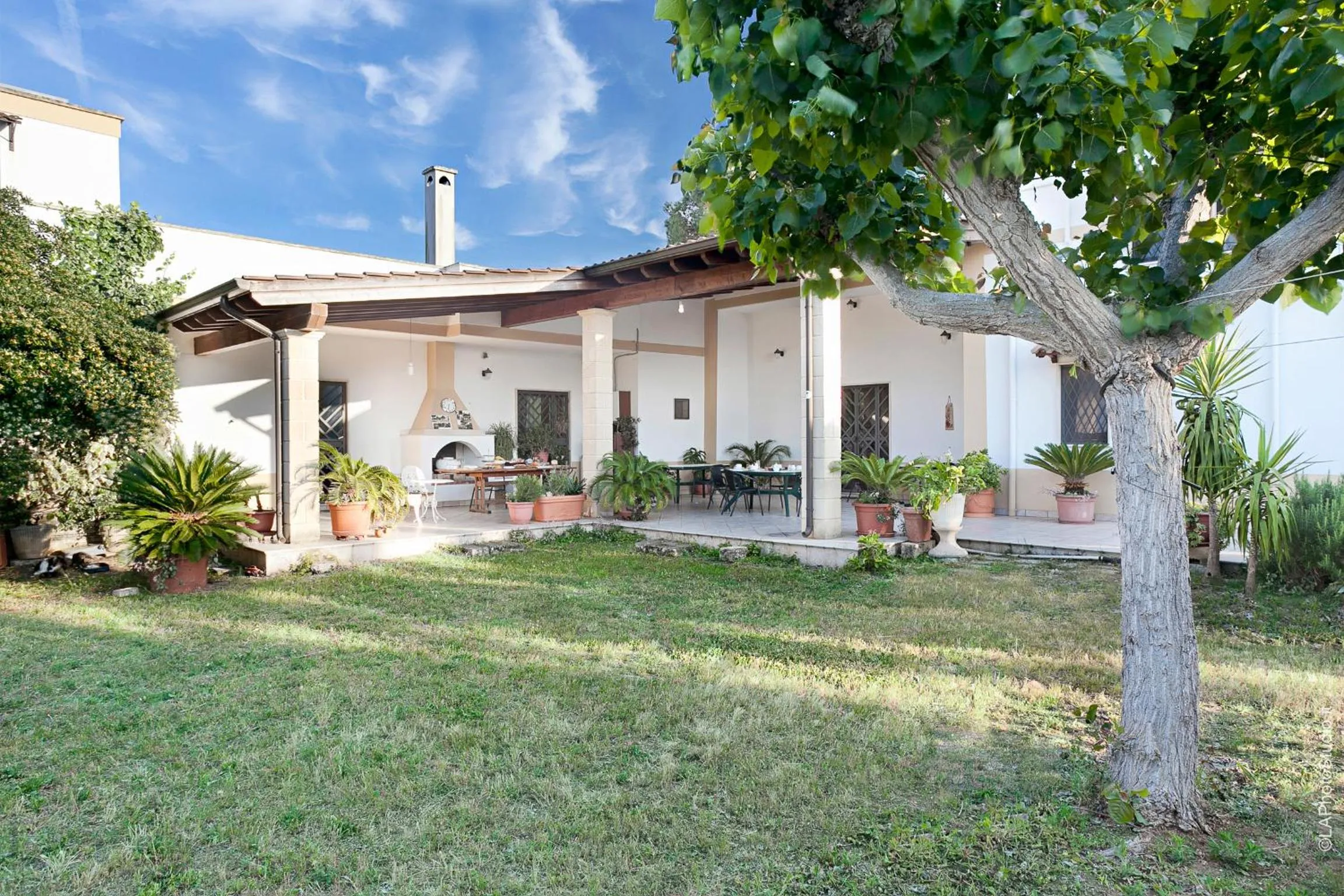 Garden in Villa Delle Palme