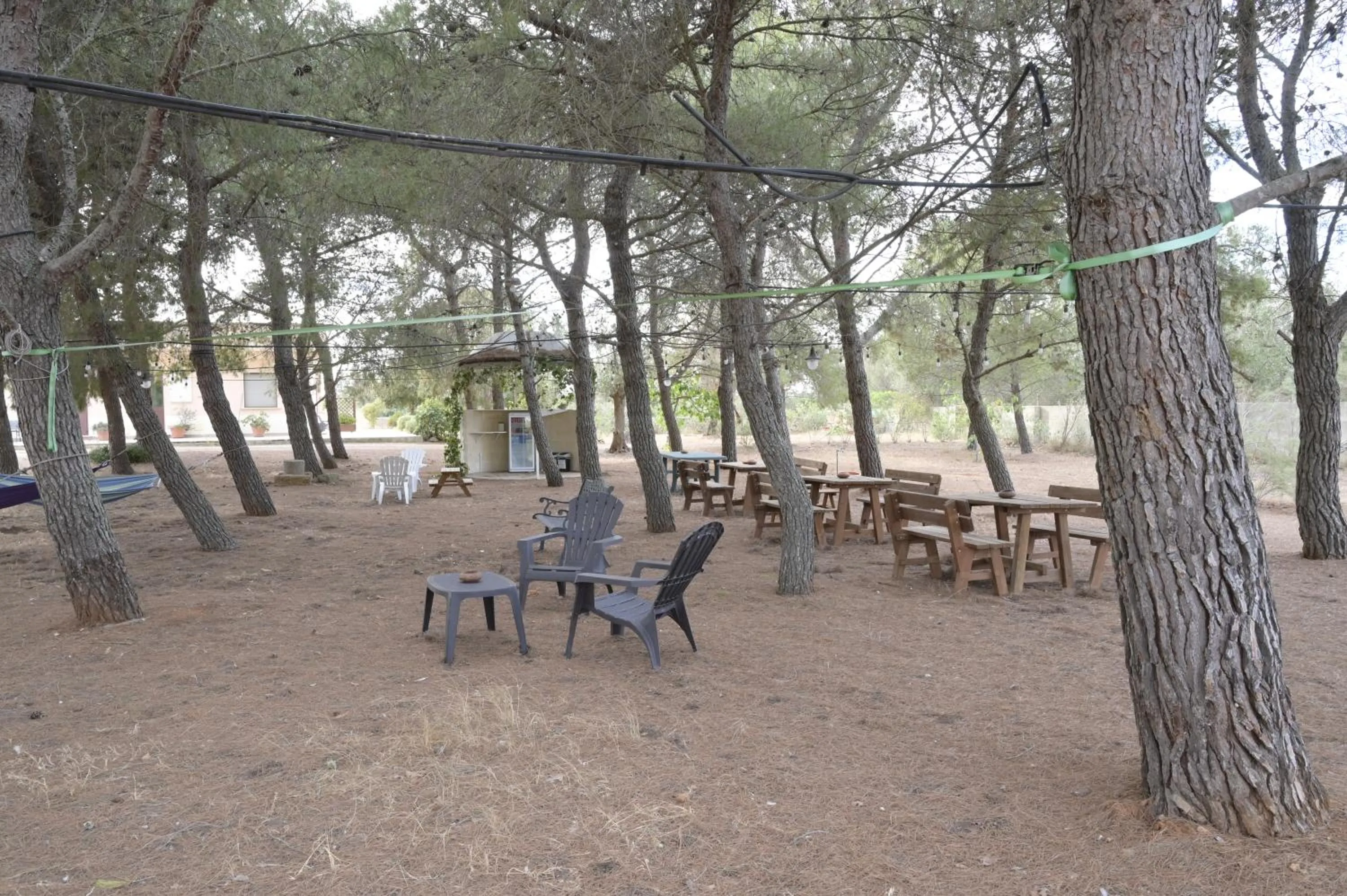Garden in Villa Delle Palme