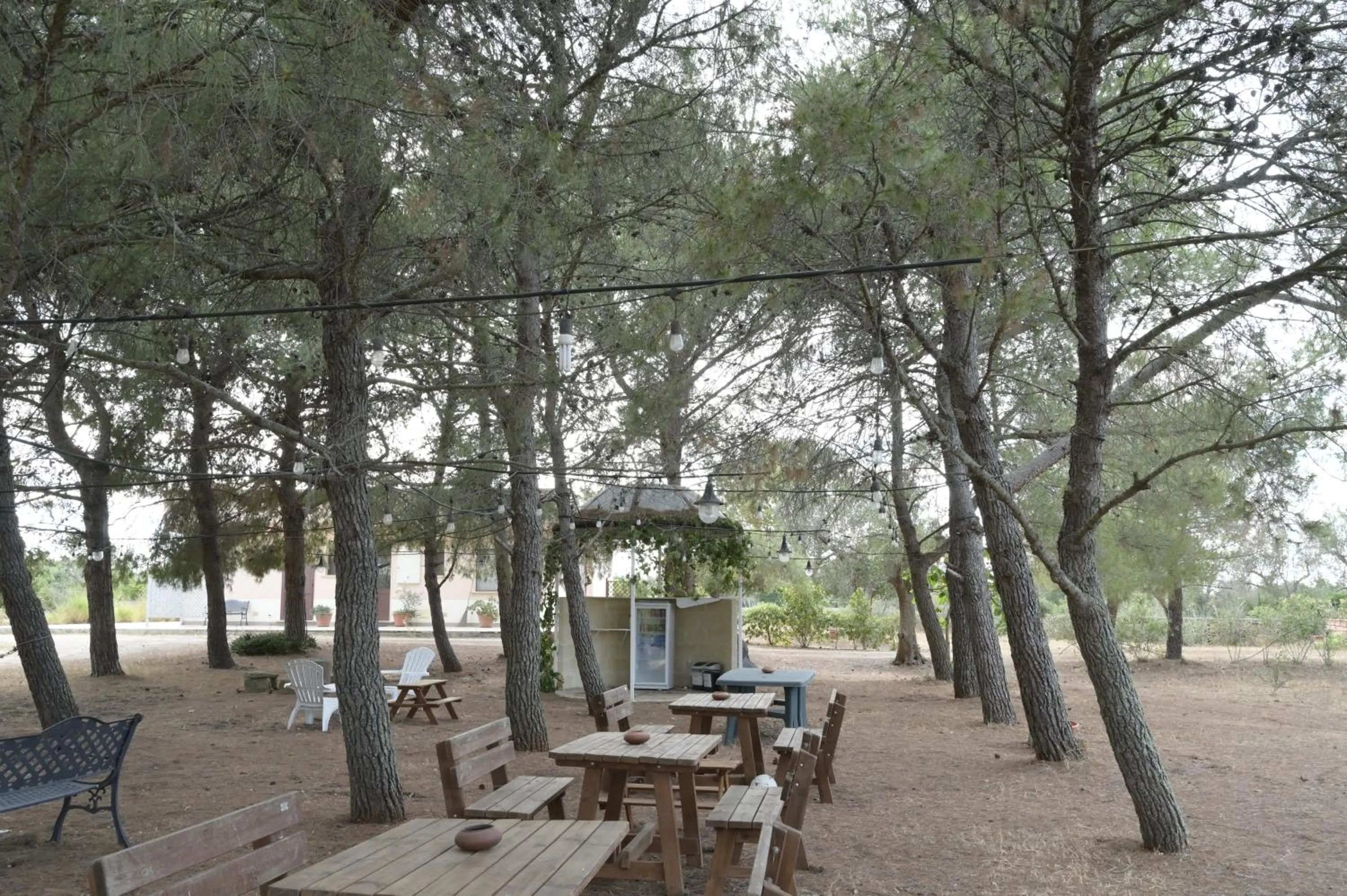 Garden in Villa Delle Palme