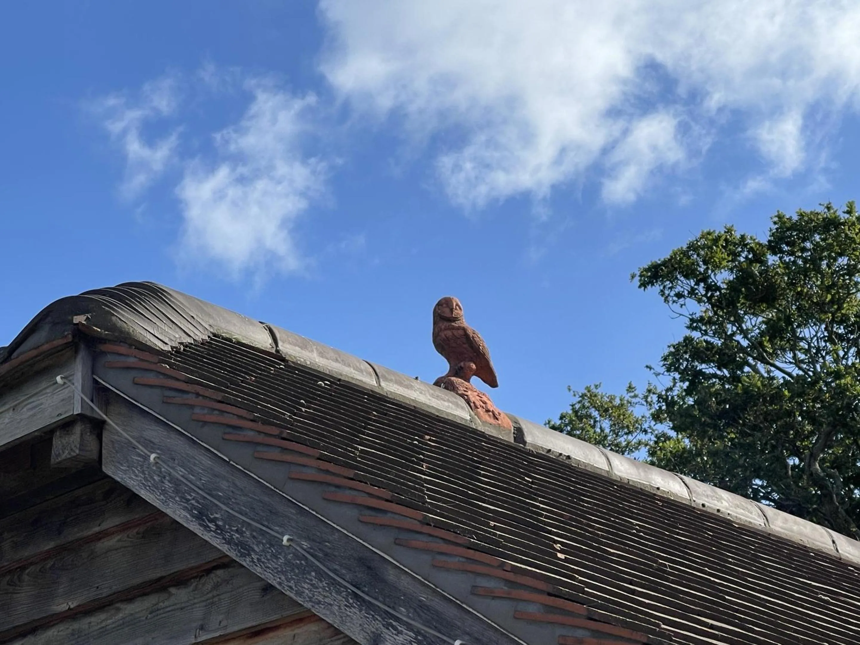 Other in Lancasters Cottage