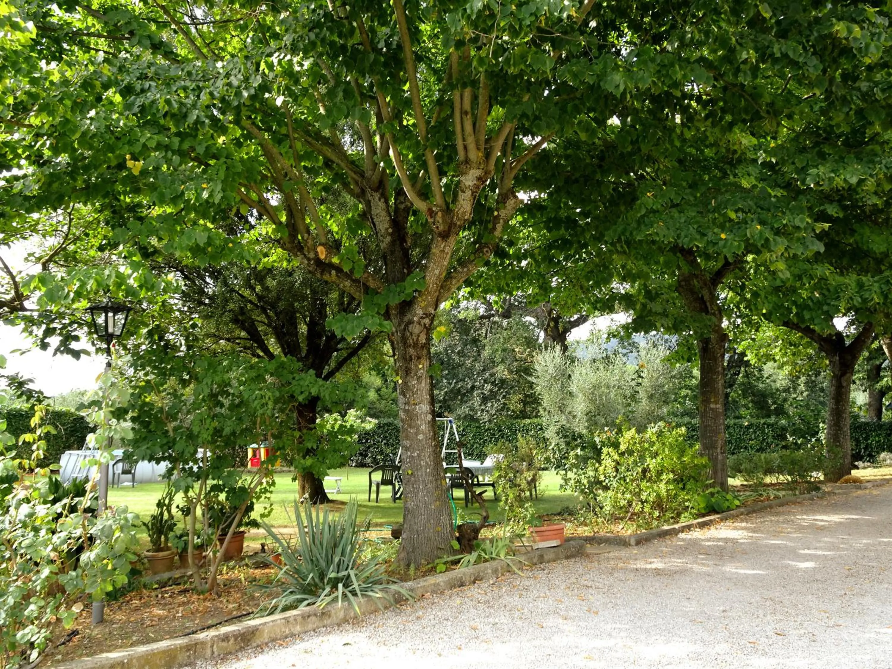 Garden in Casa Dina