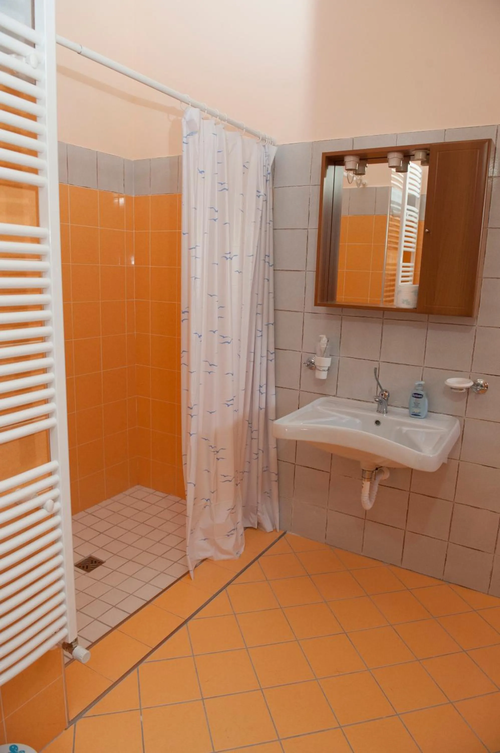 Bathroom in Casa Vacanze - Affittacamere Il Tempone