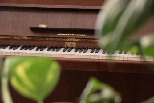 Other in Albergo Centrale Scanno