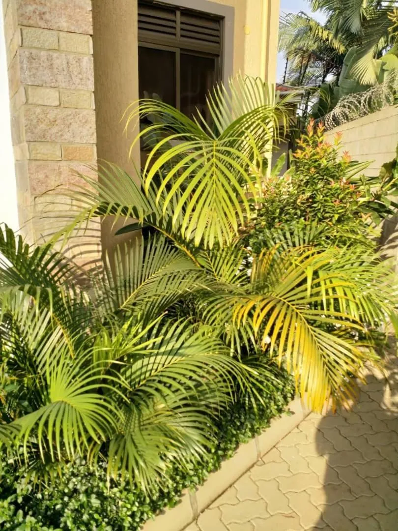 Garden in Caran Apartments