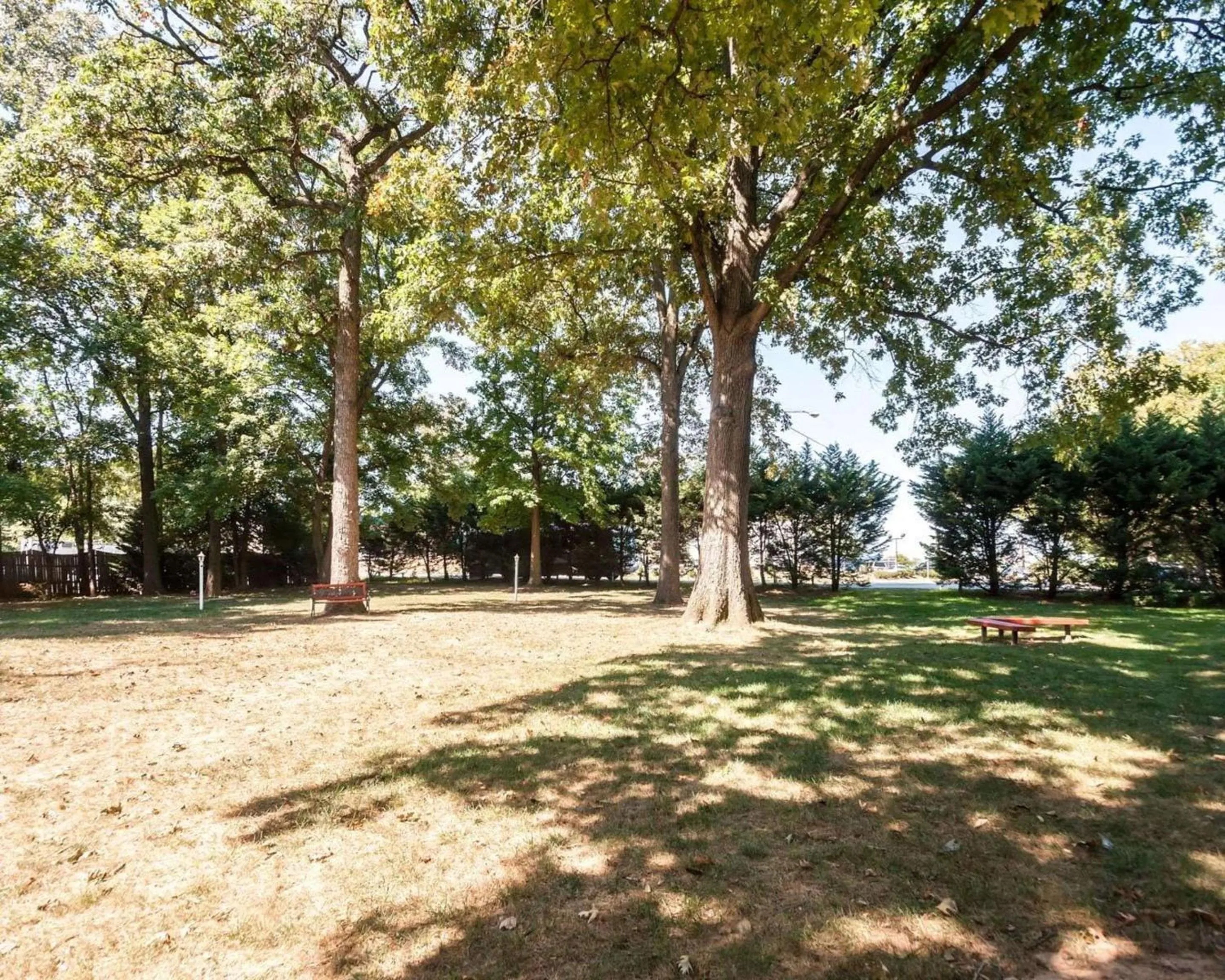 BBQ facilities in Comfort Inn Shady Grove - Gaithersburg - Rockville