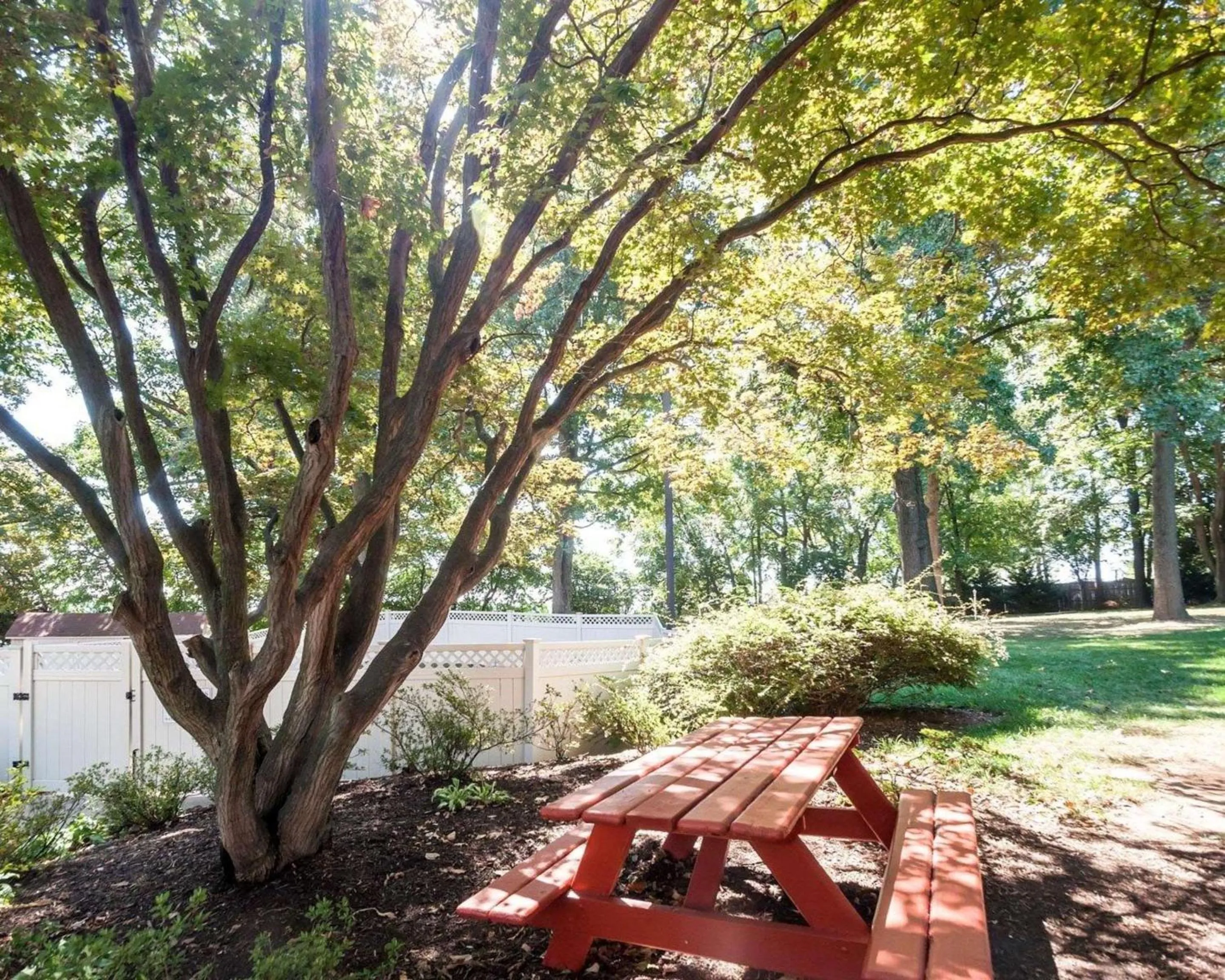 Patio in Comfort Inn Shady Grove - Gaithersburg - Rockville
