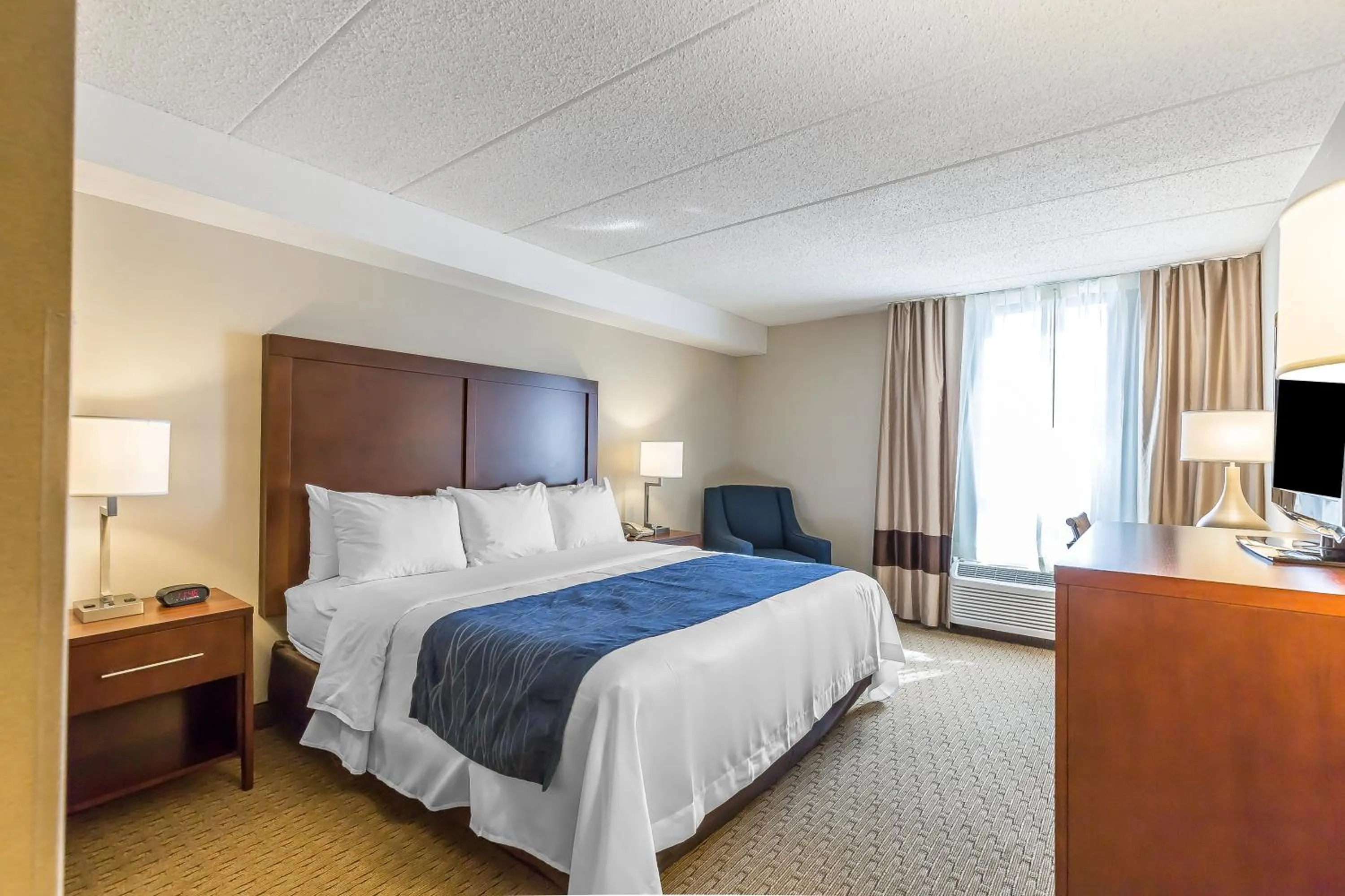 Bedroom, Bed in Comfort Inn Shady Grove - Gaithersburg - Rockville