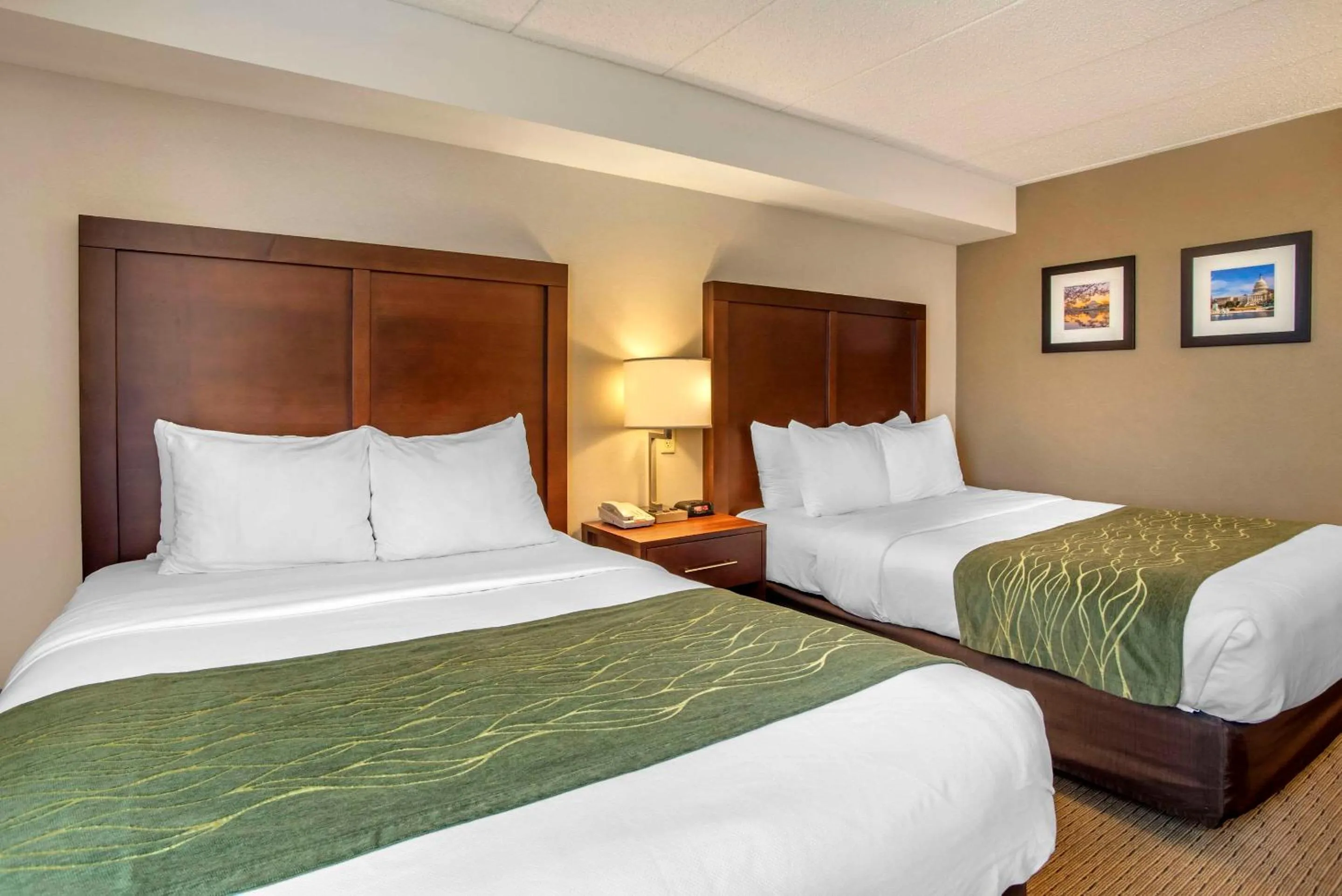 Bedroom, Bed in Comfort Inn Shady Grove - Gaithersburg - Rockville