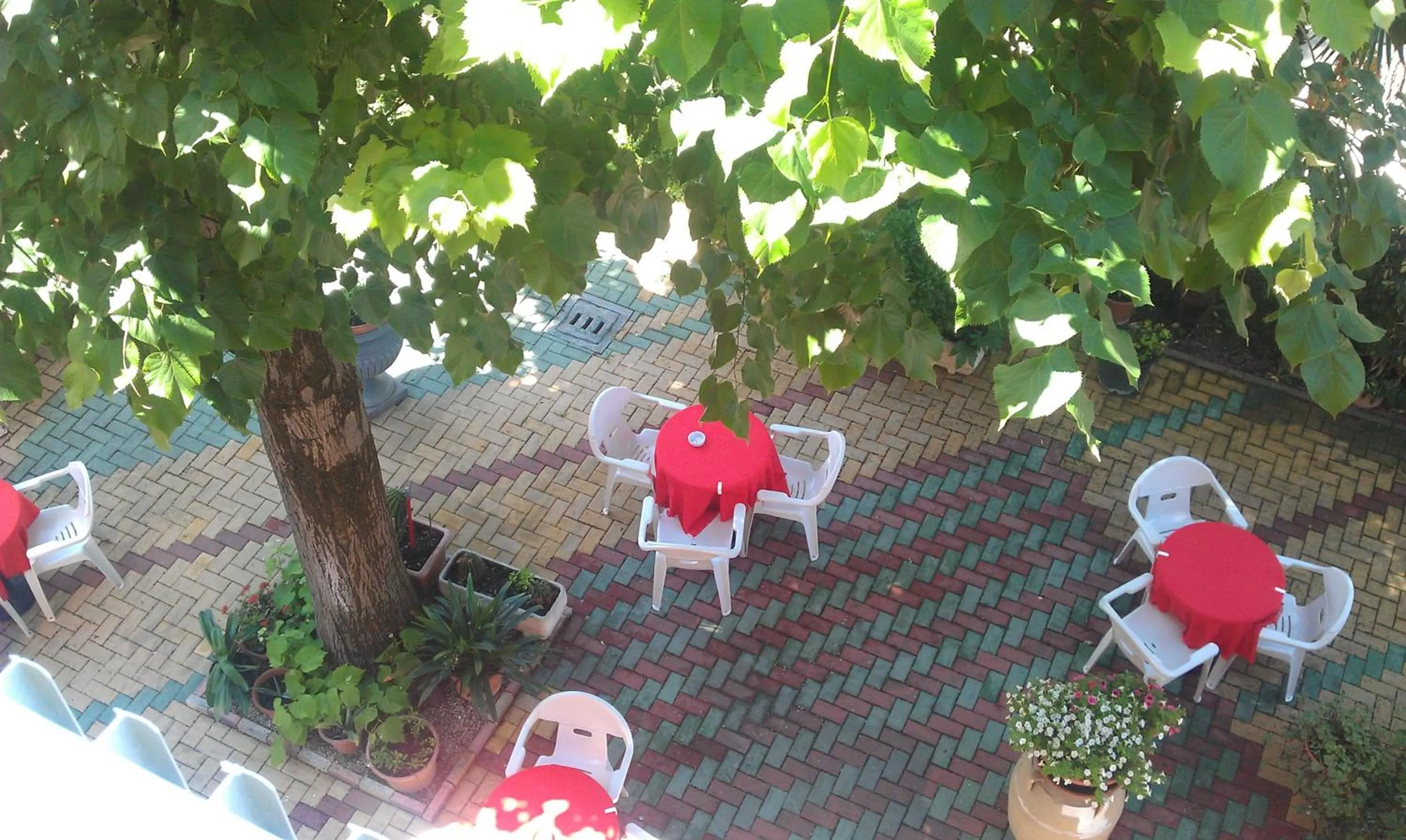 Patio in Hotel Edelweiss