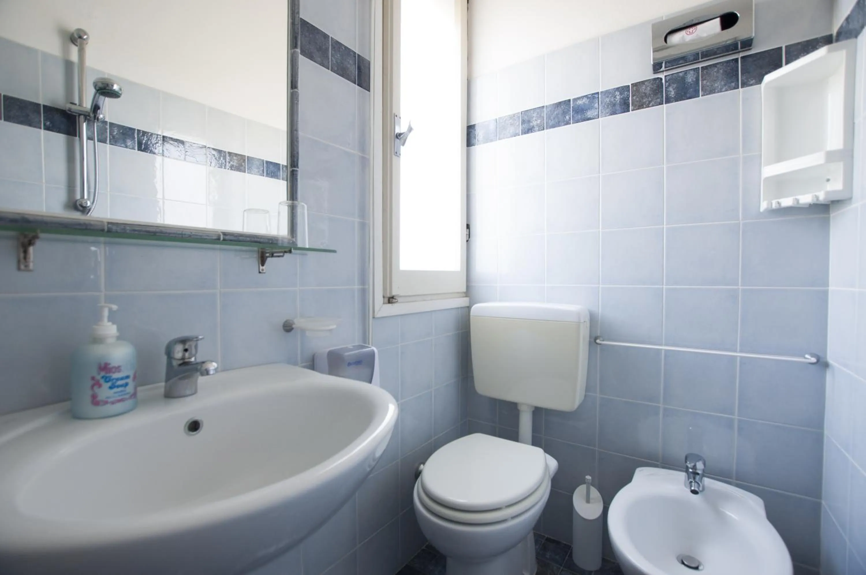 Toilet in Hotel Edelweiss