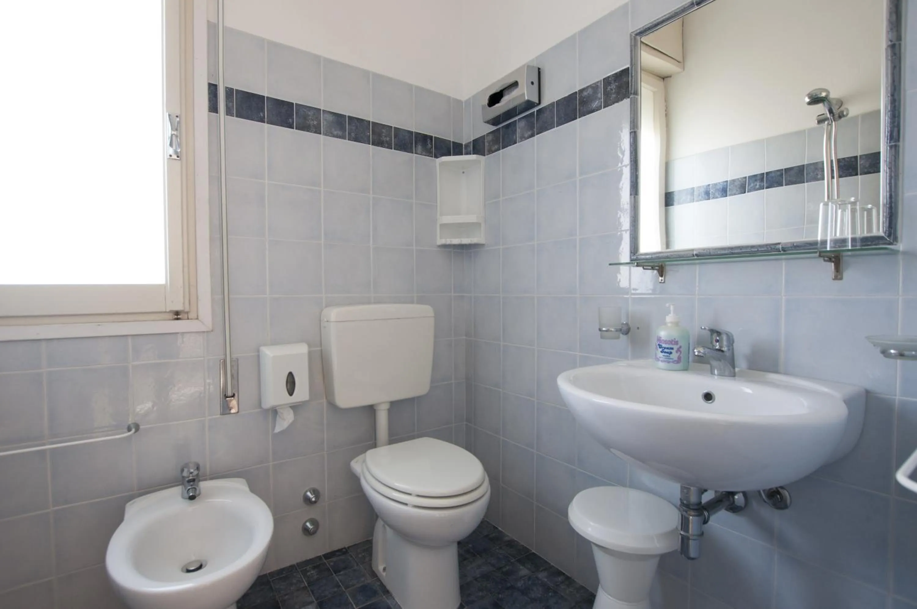 Toilet in Hotel Edelweiss