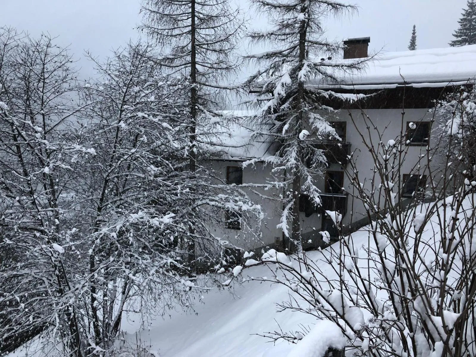 Property building in Chalet Elfie