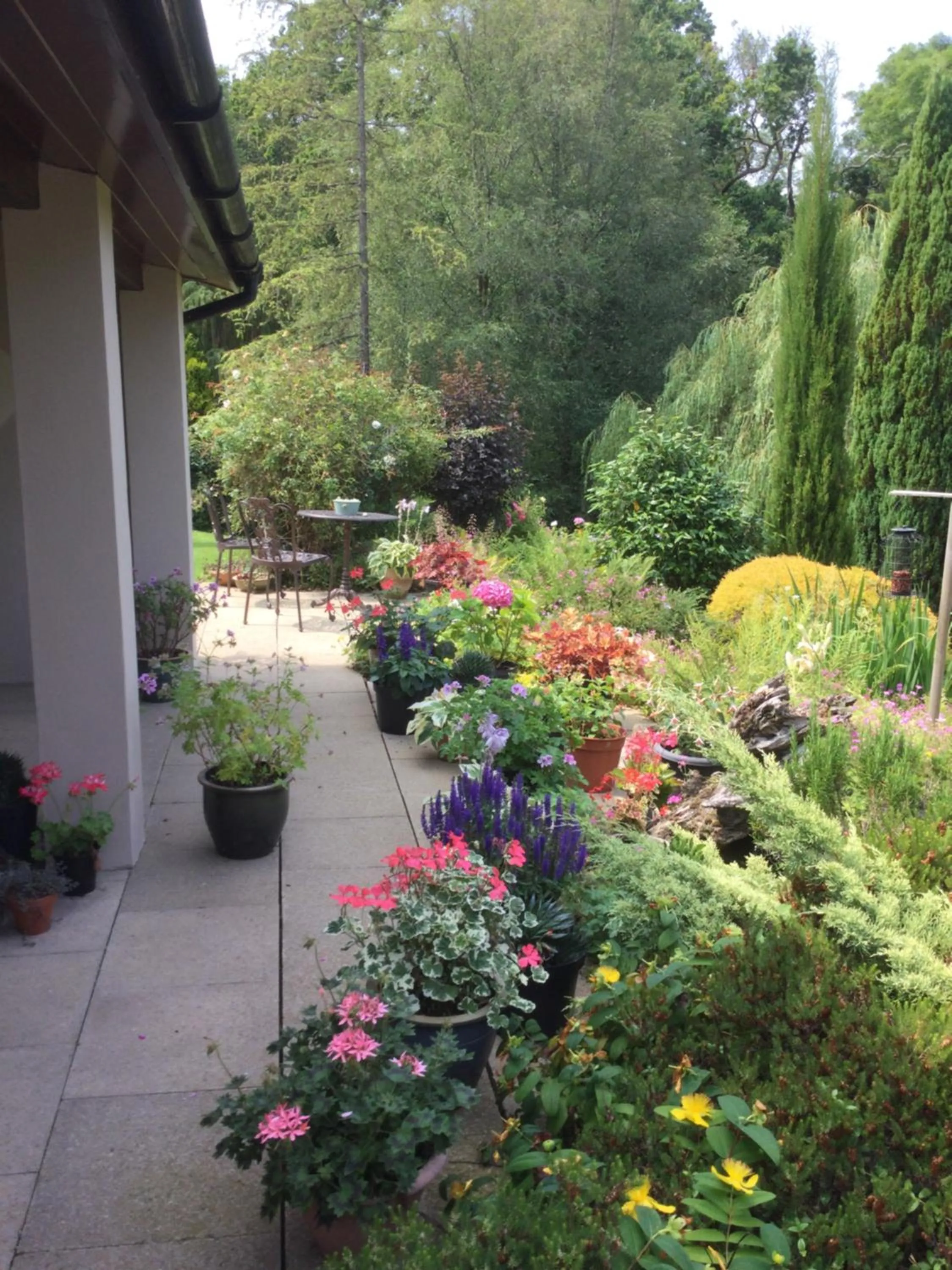 Garden in Dwynant - A Room with a View