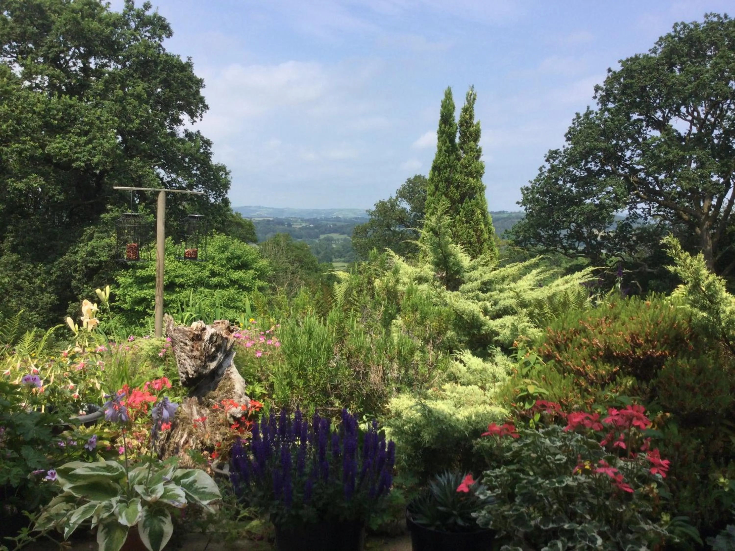 Dwynant - A Room with a View