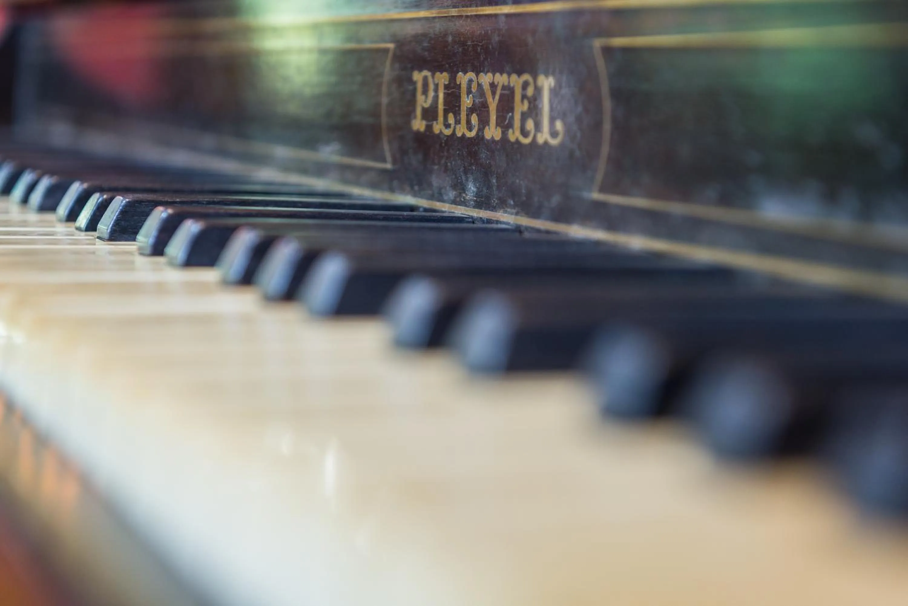 Restaurant/places to eat in Cattani's Riverside Home