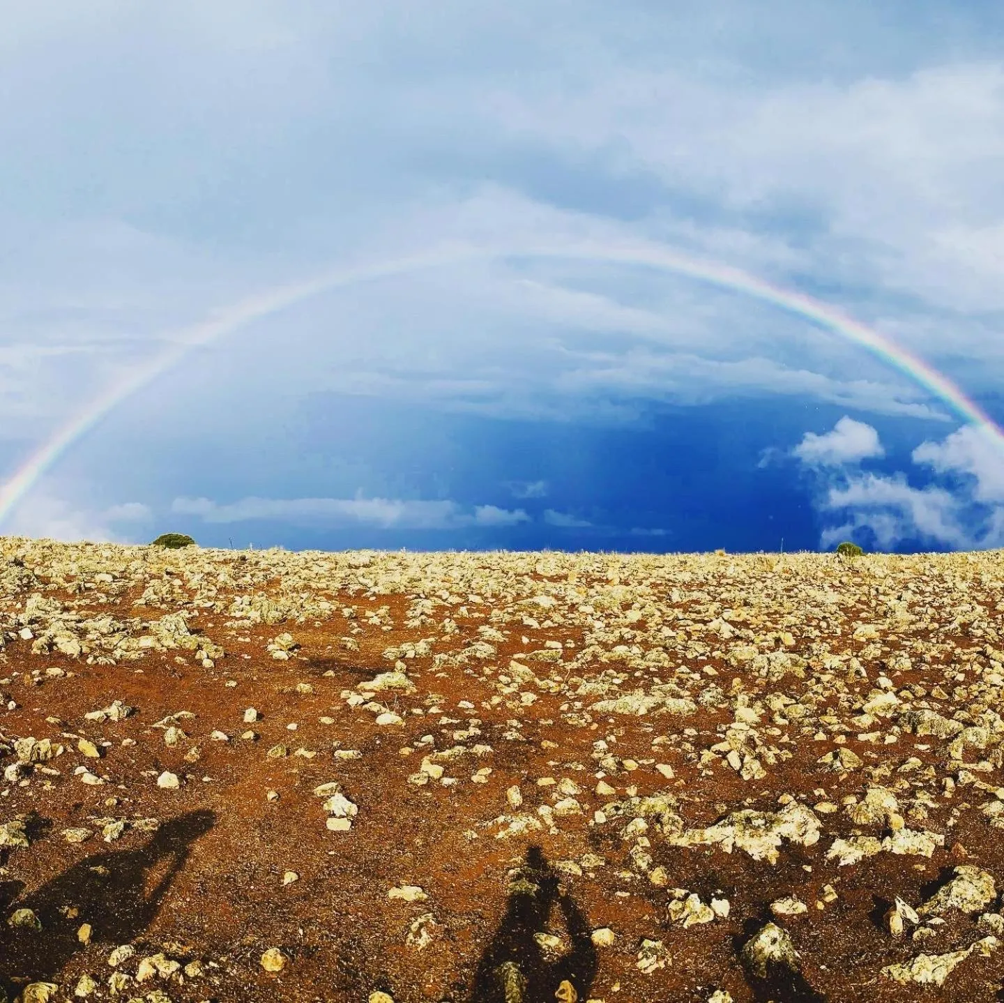 Natural landscape in La Terrazza Di San Vito