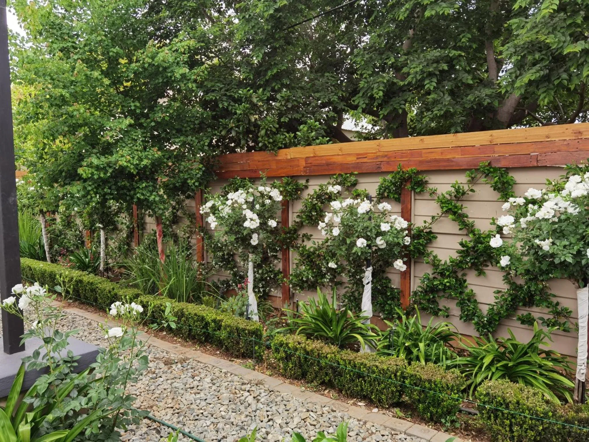 Garden view in Bella Rosa