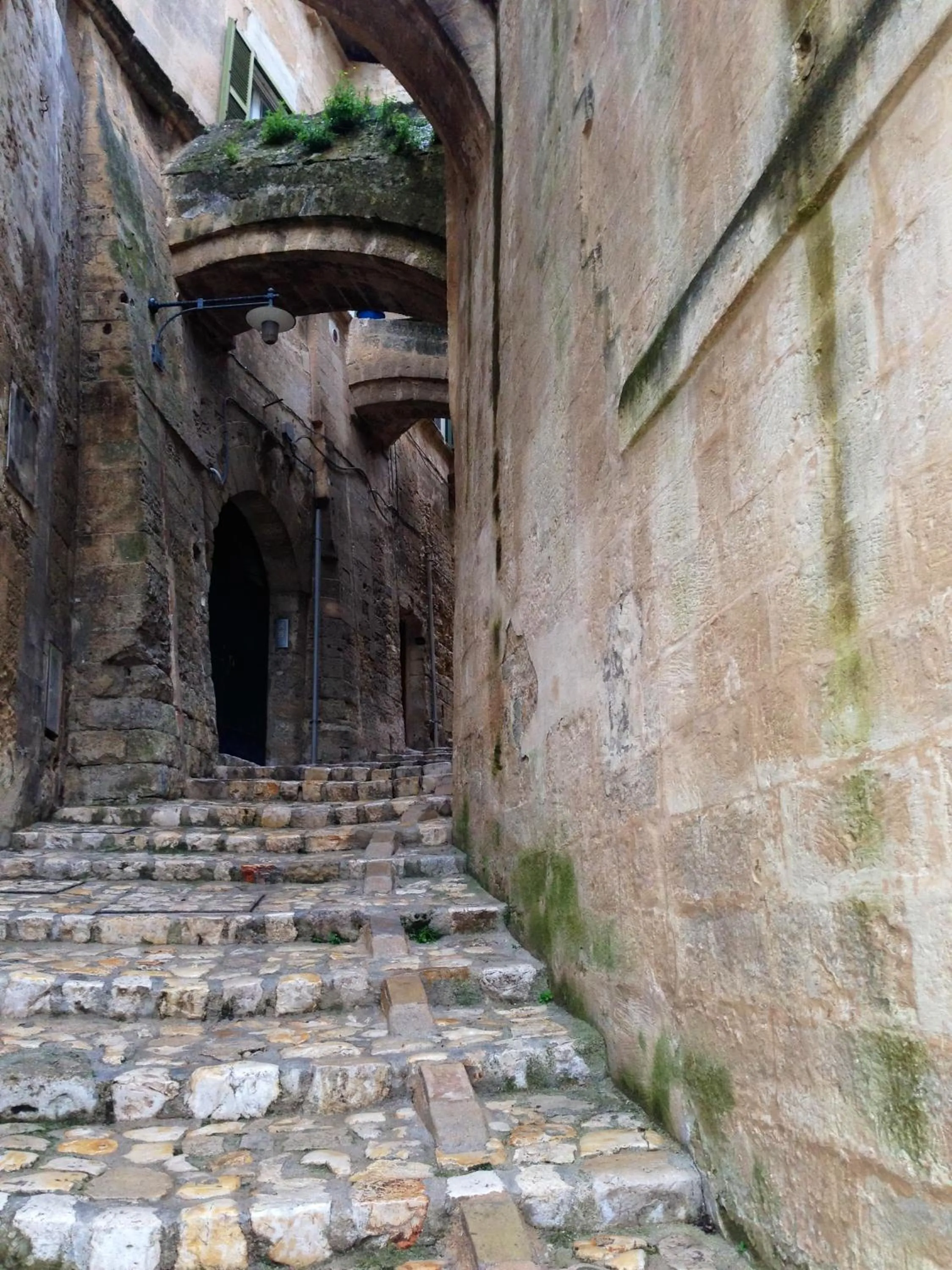 Facade/entrance in Bed And Breakfast Nelmuro