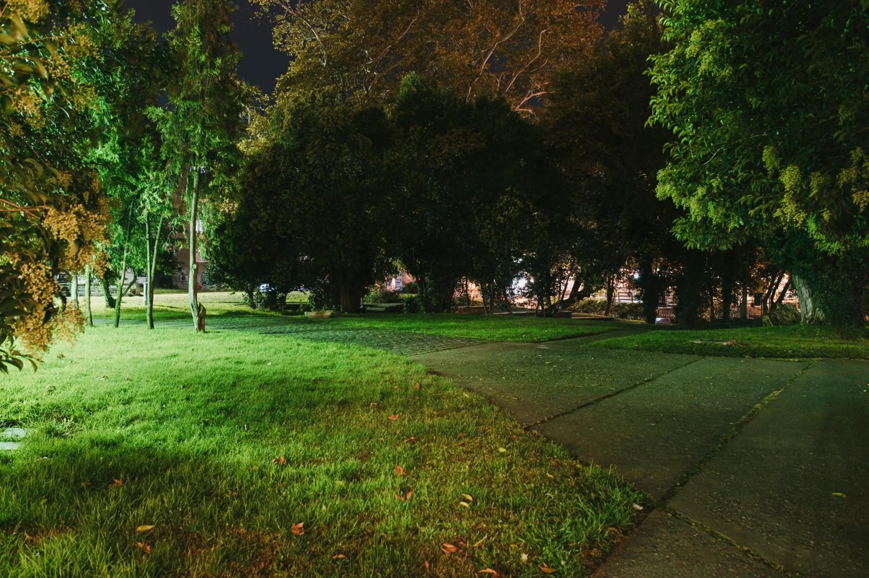 Natural landscape in Aya Hotel