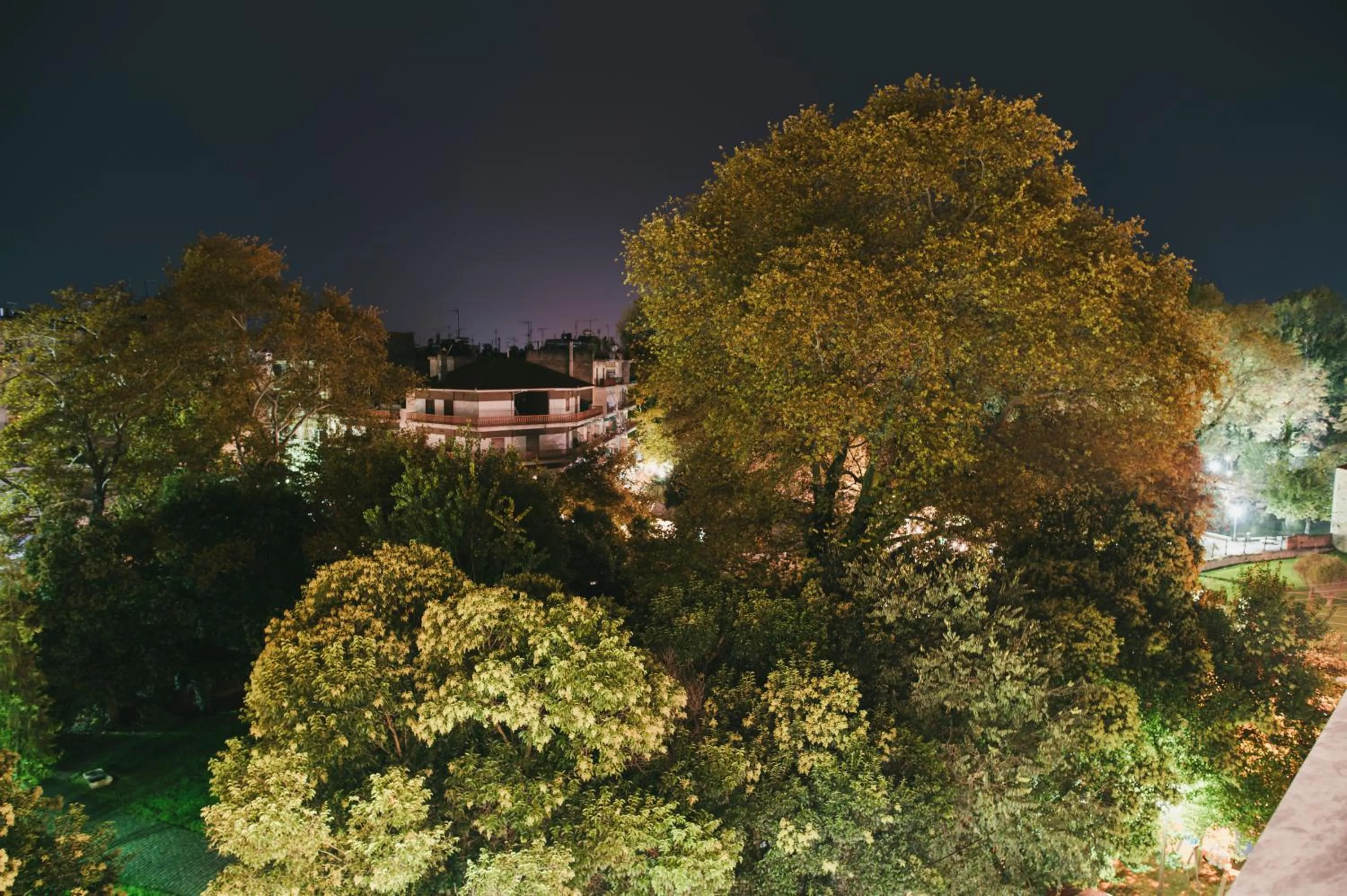 Garden view in Aya Hotel