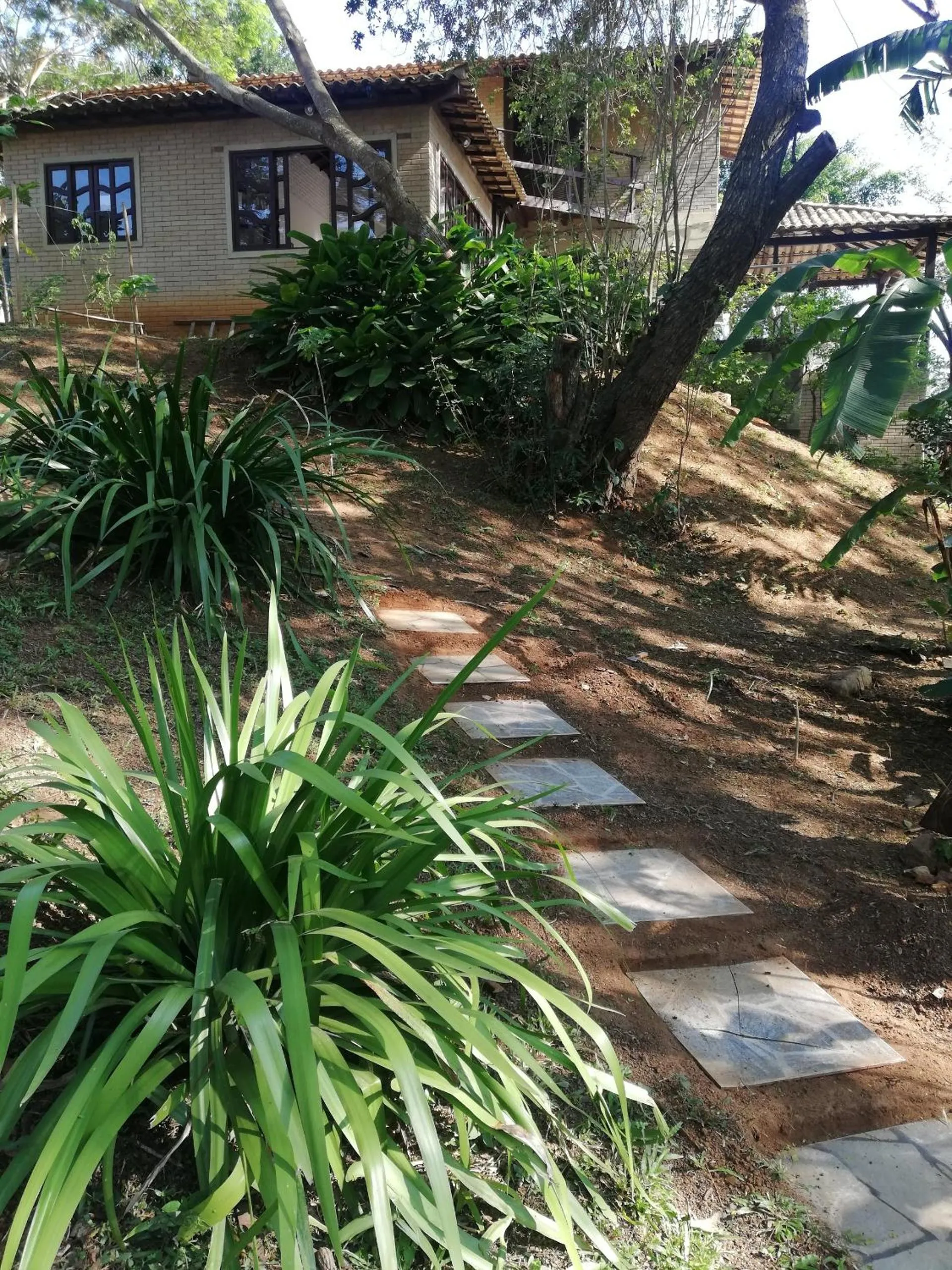 Garden in 5to Elemento House