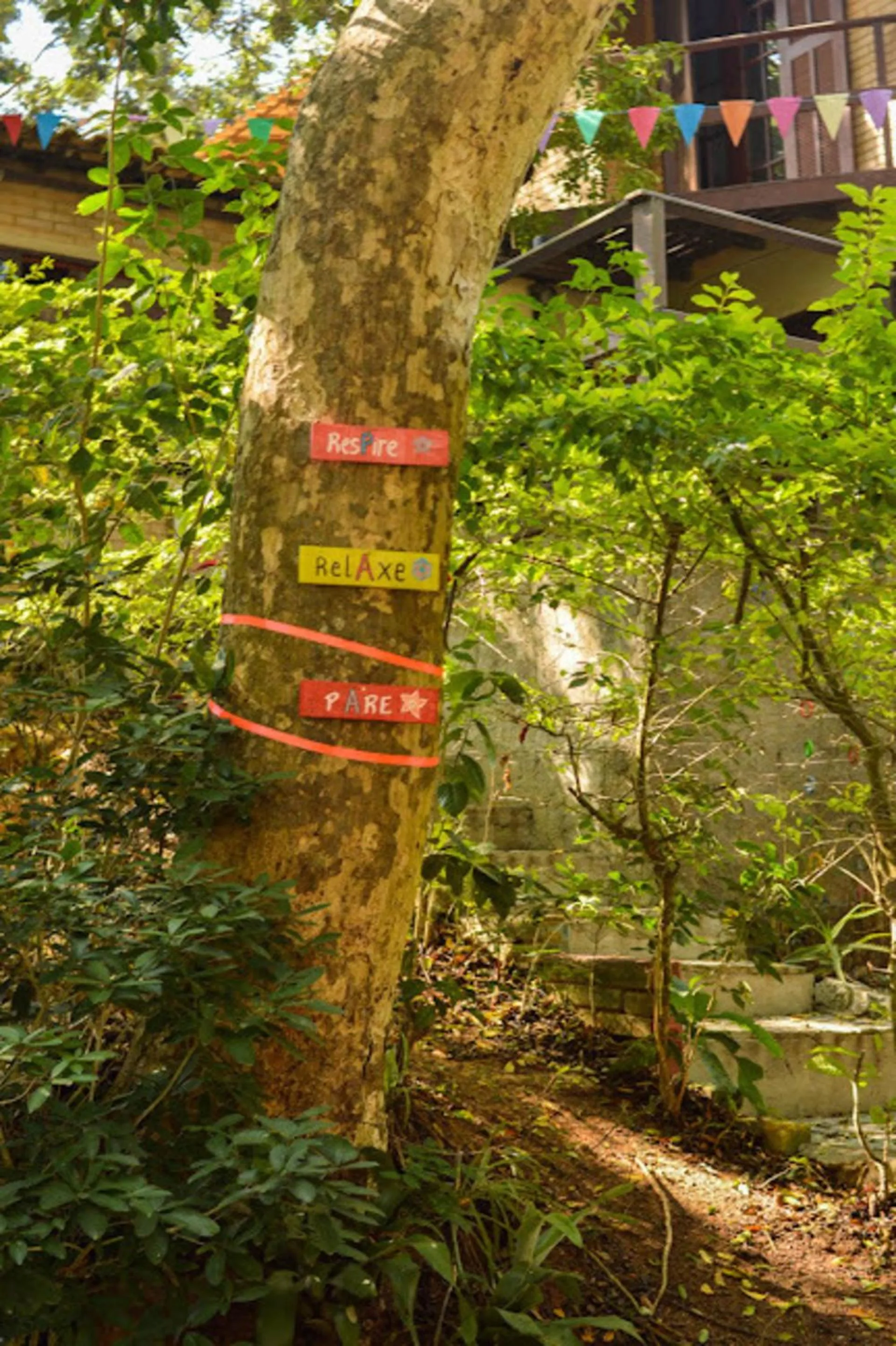 Garden in 5to Elemento House