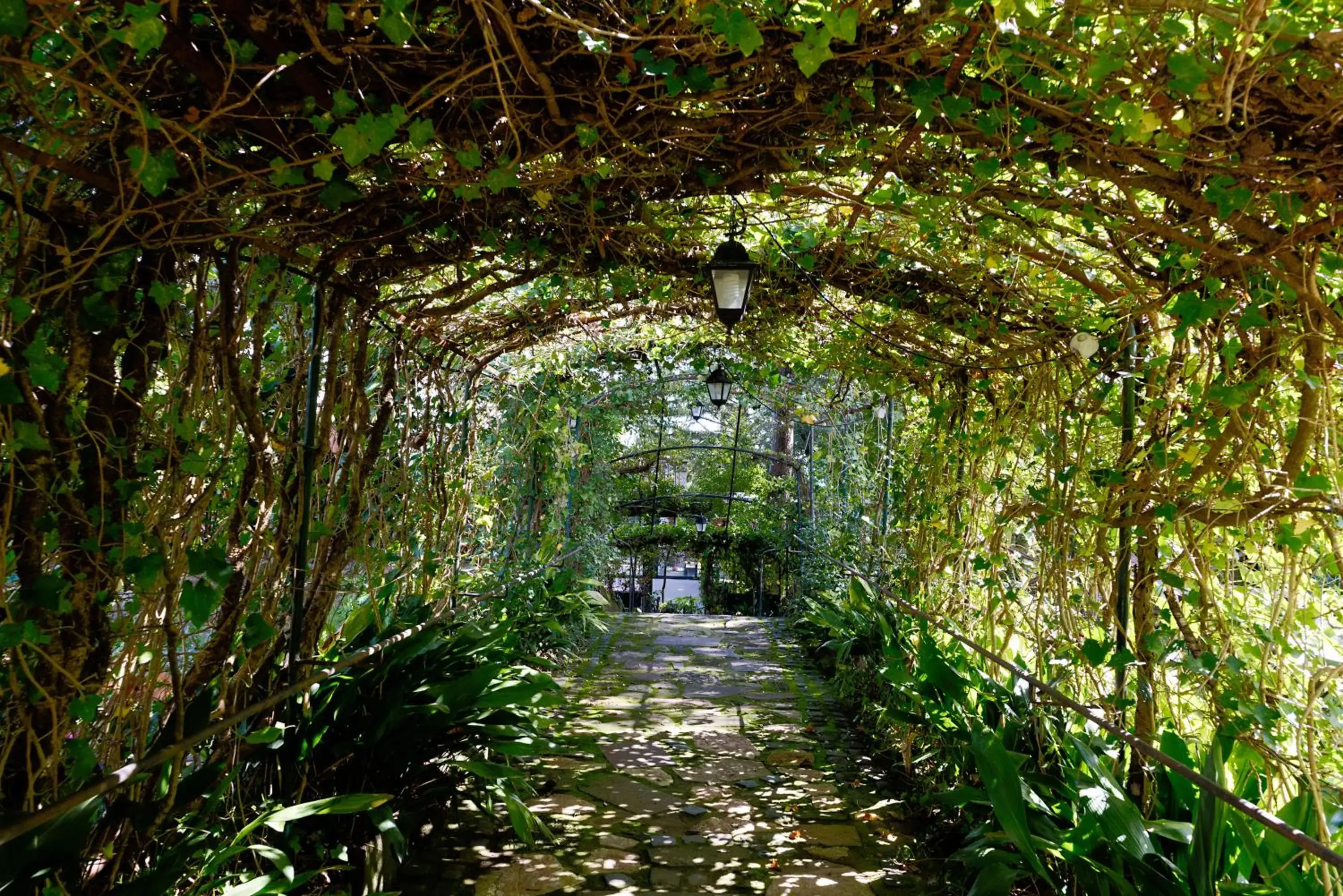 La Canonica - Villa Venturini Fendi La Canonica - Villa Venturini Fendi