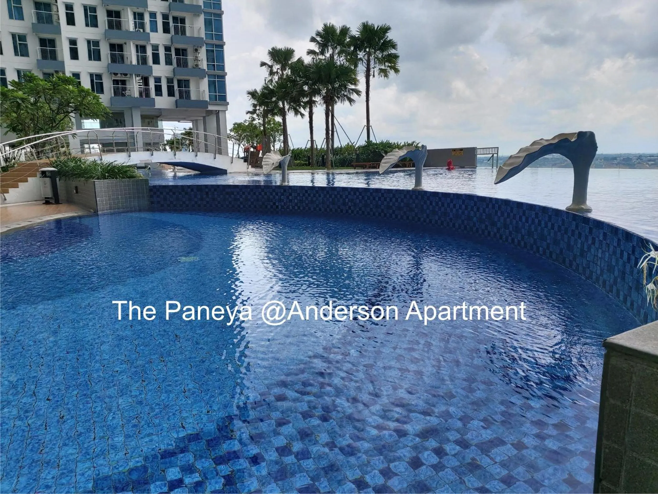 Swimming pool in The Paneya@Anderson Apartment