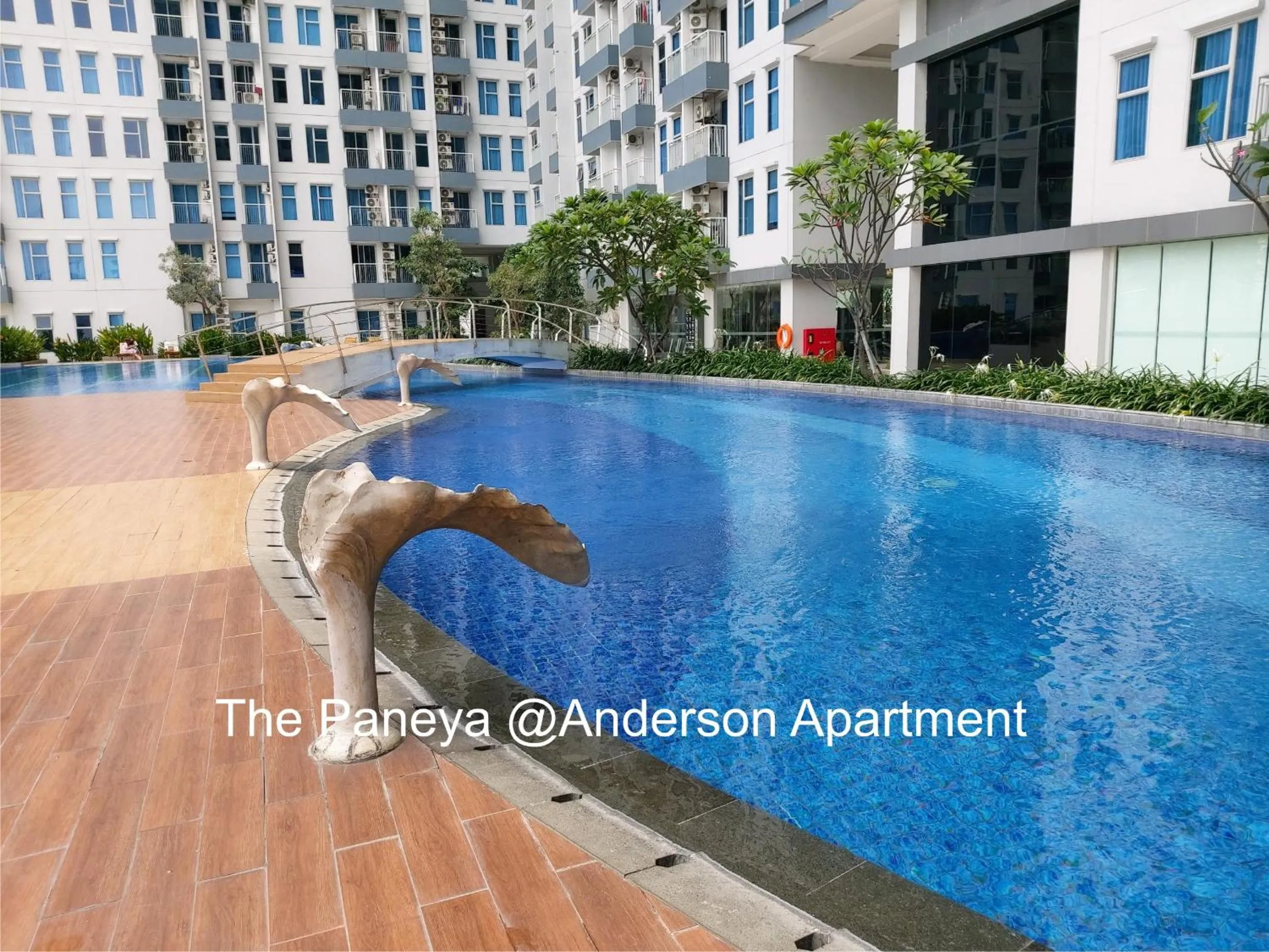 Swimming pool in The Paneya@Anderson Apartment