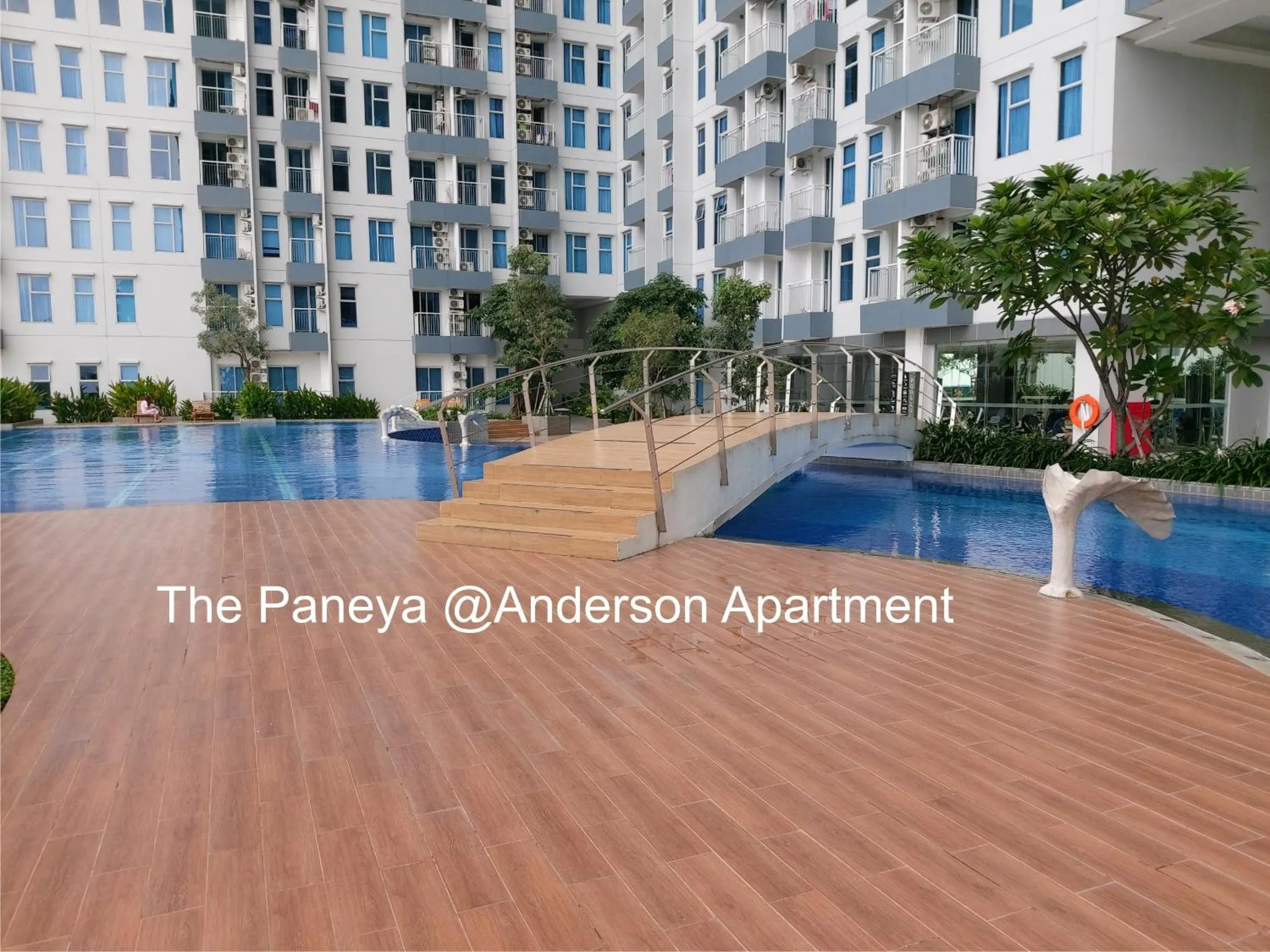 Swimming pool in The Paneya@Anderson Apartment