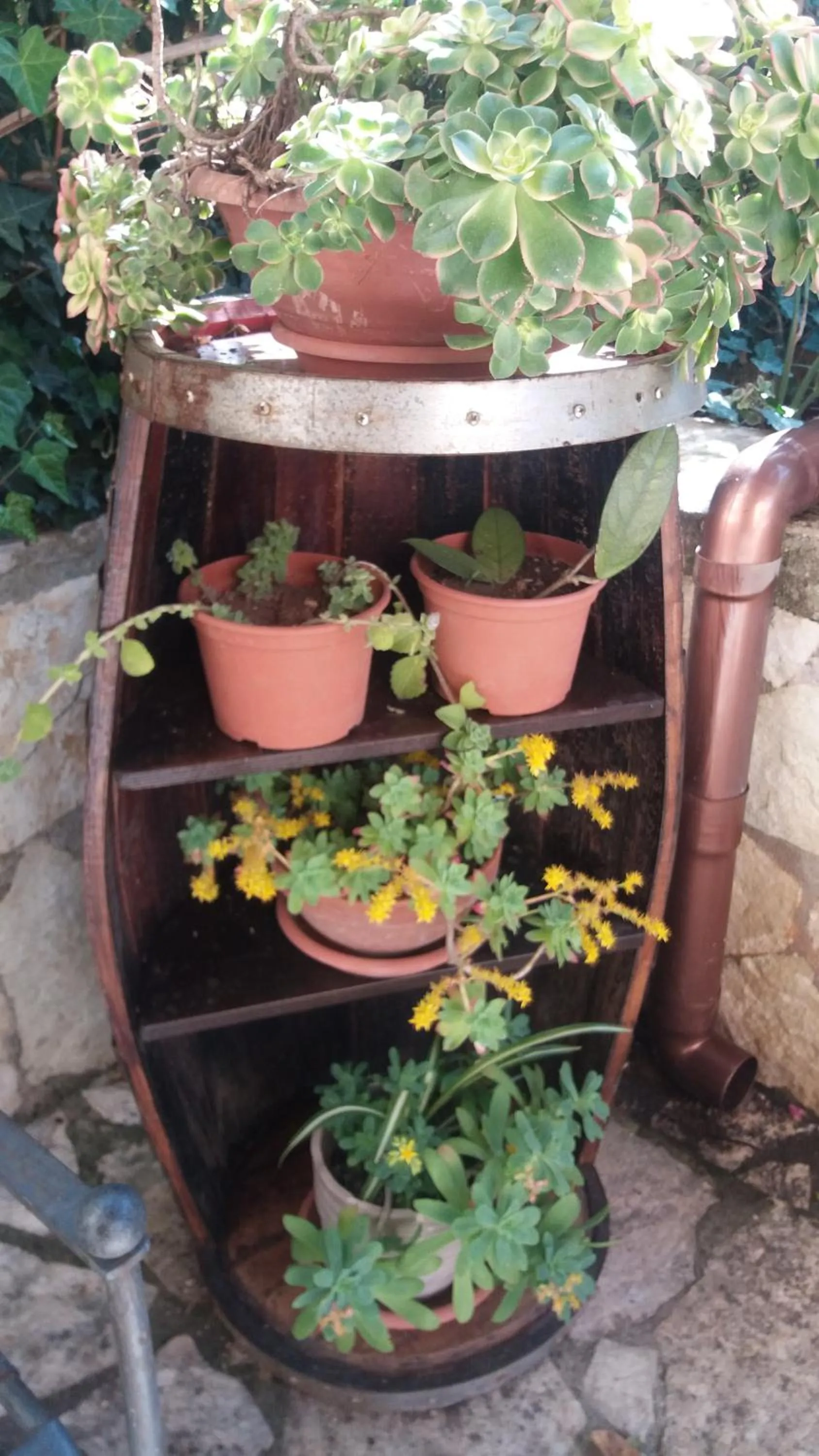 Garden in B&B Verdeblu