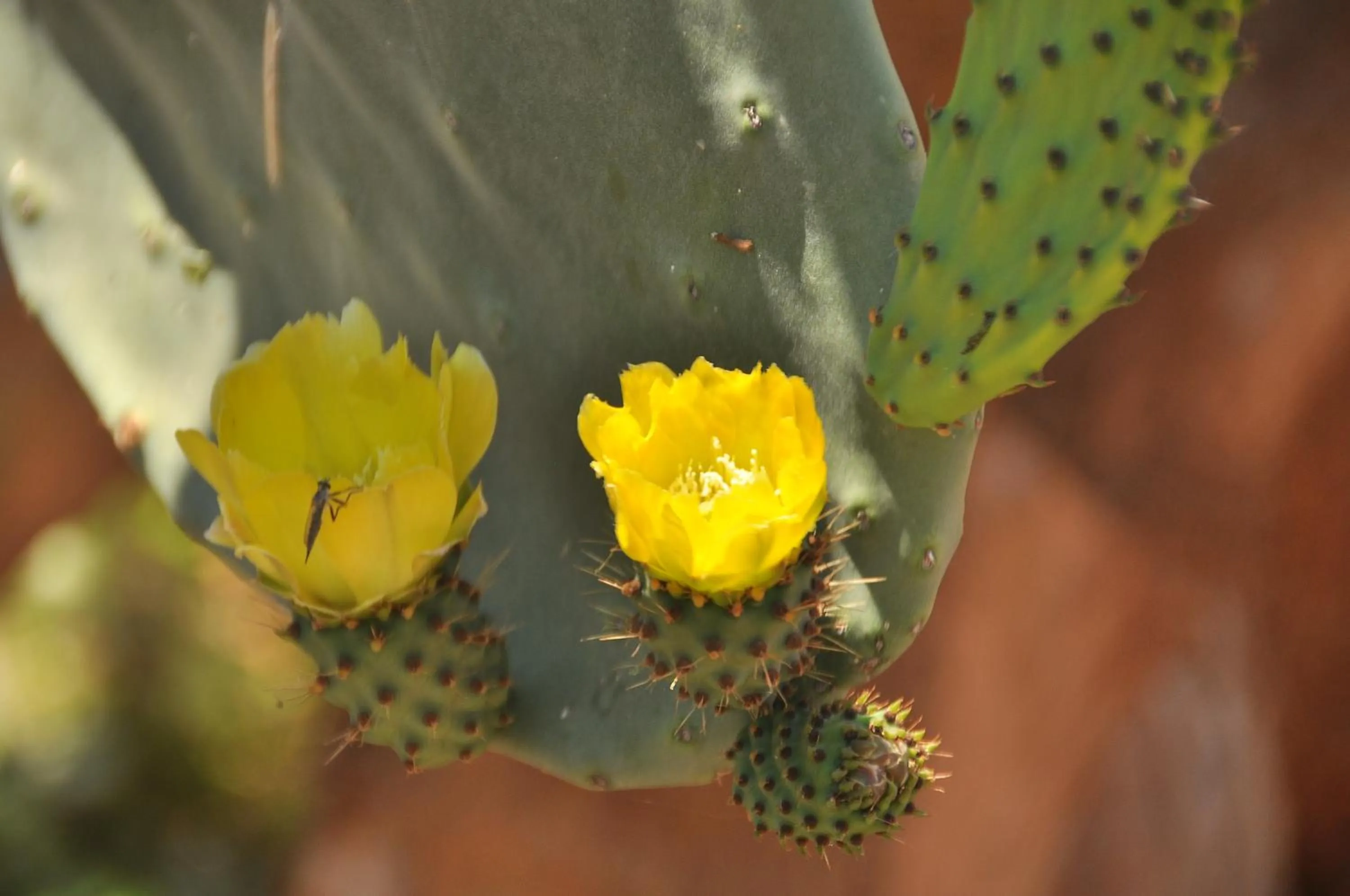 Other in B&B Verdeblu