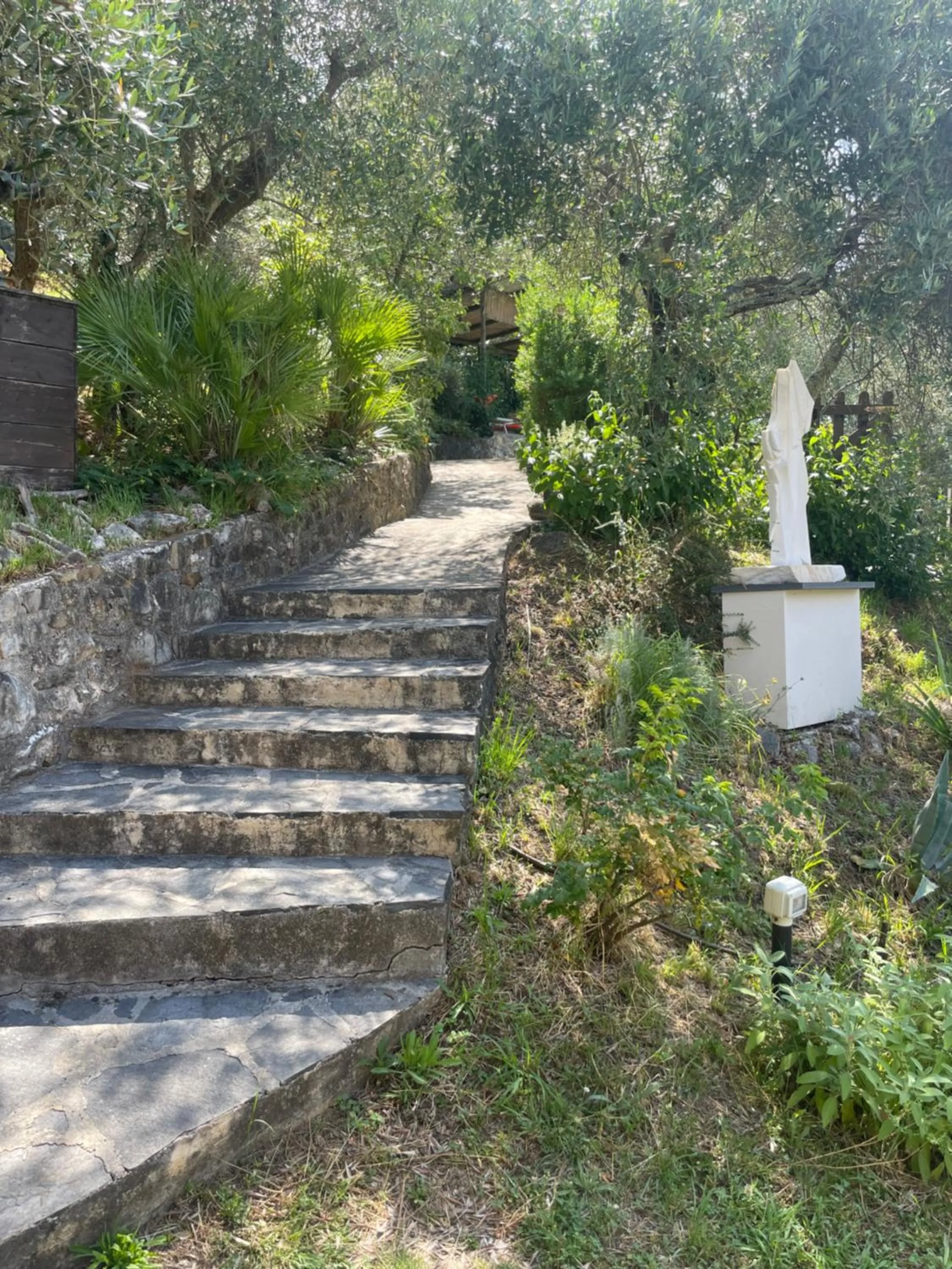 Garden in Casa Del Sole