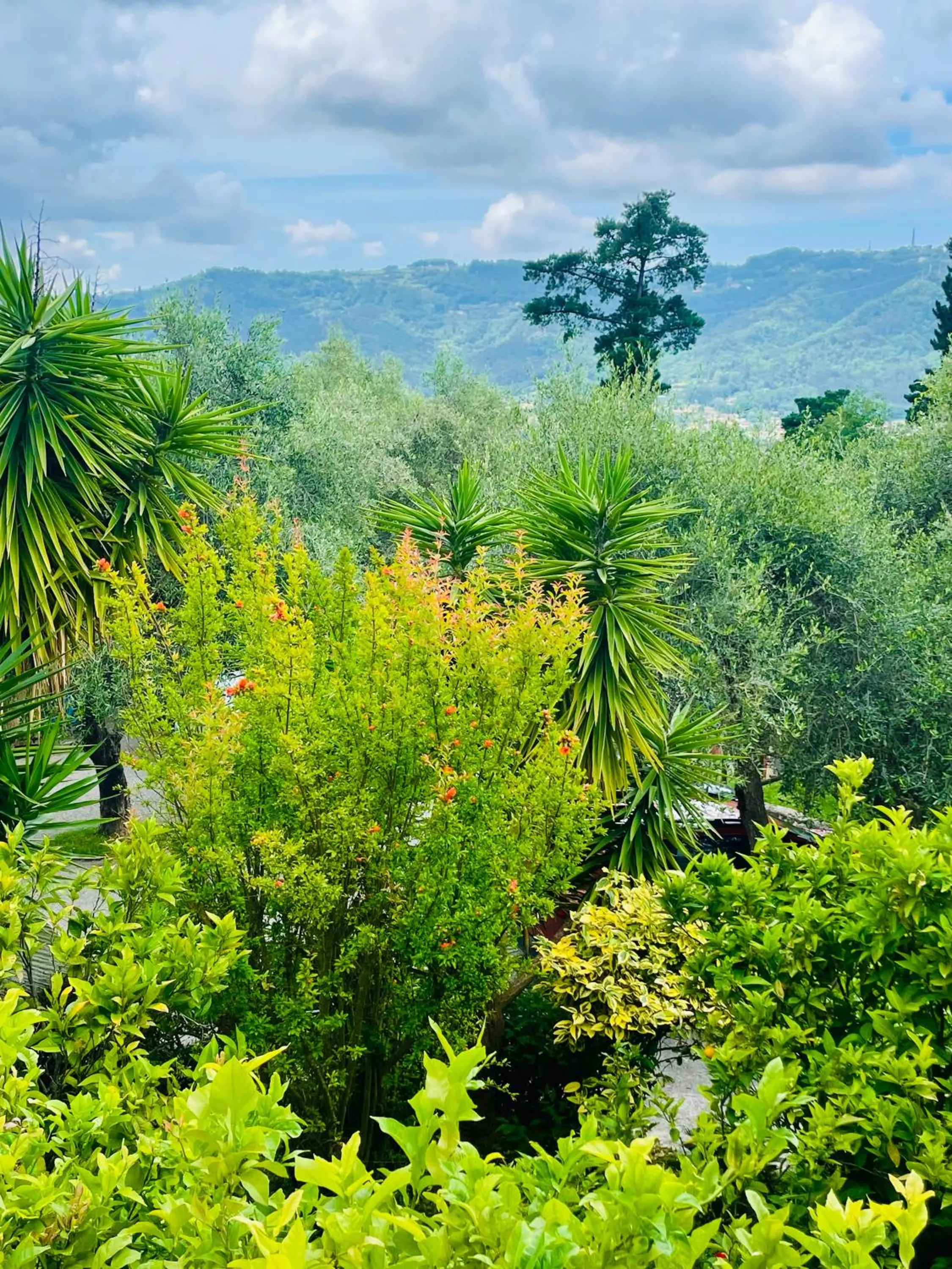 Garden in Casa Del Sole