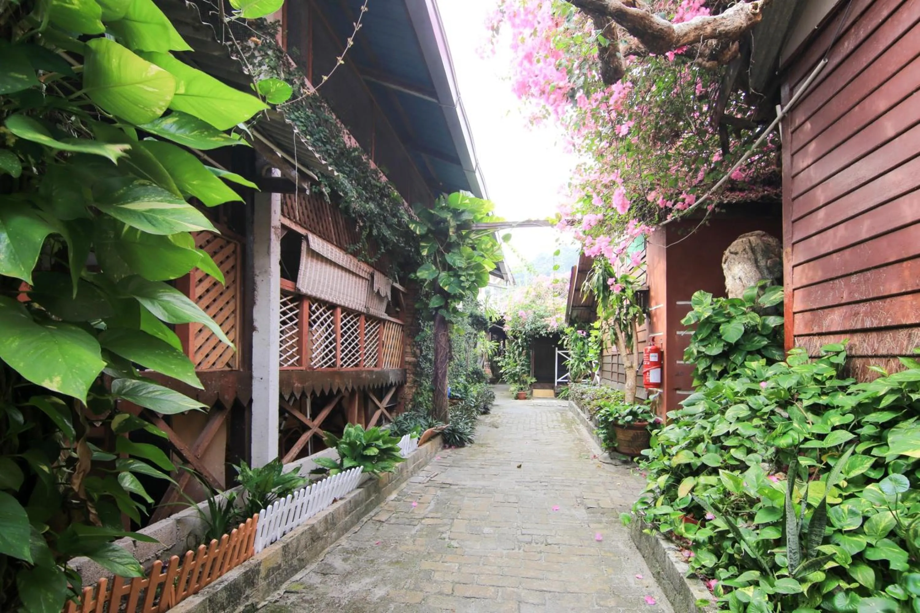 Garden in Hotel O Ombak Inn Chalet