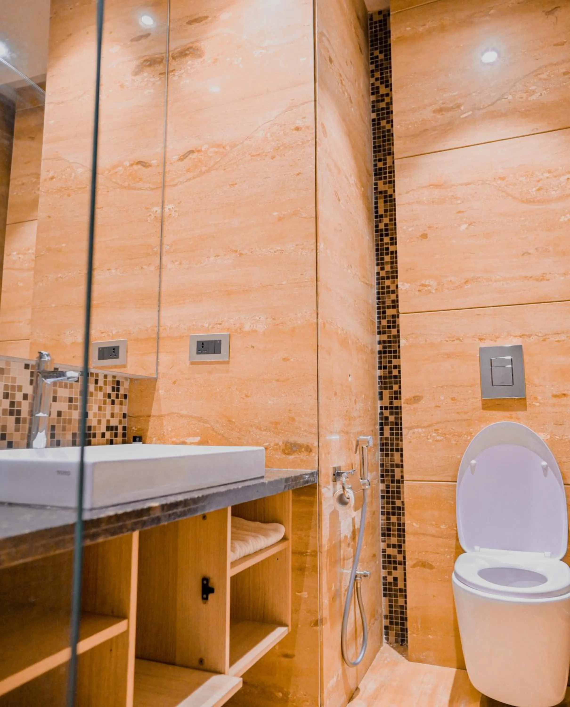 Toilet in Pushkara Resort and Spa, Pushkar