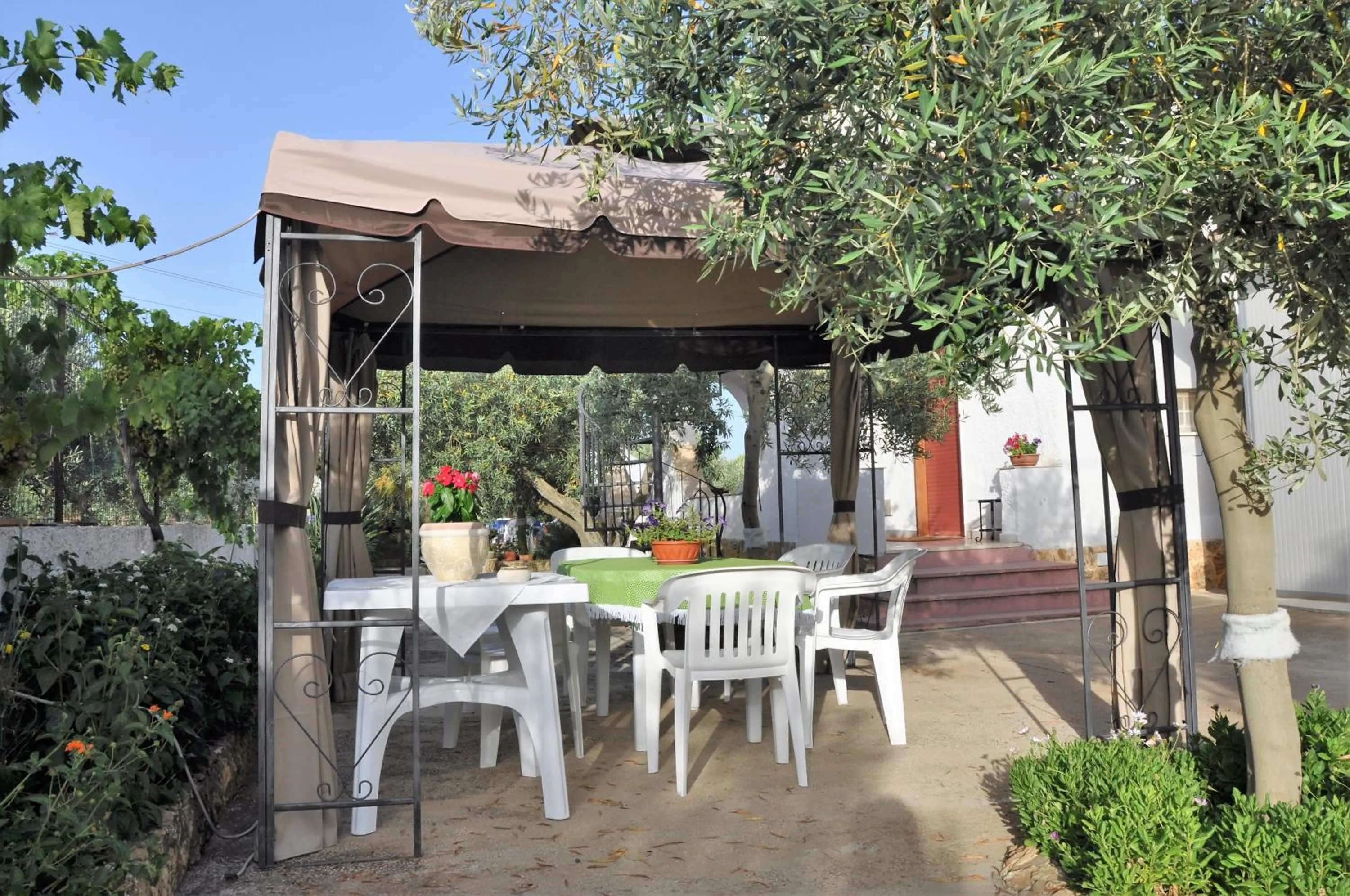 Garden in Santa Teresa