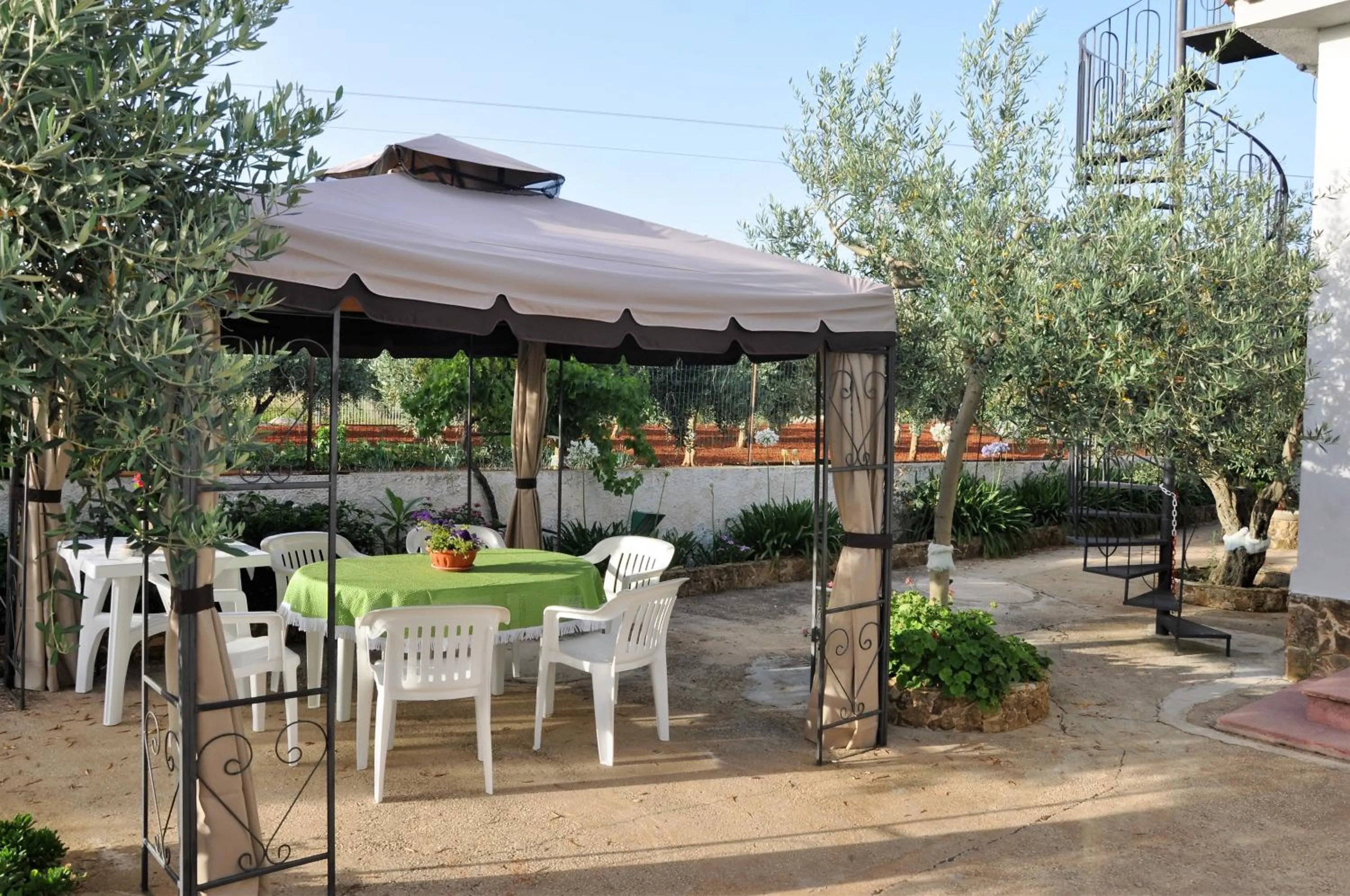 Garden in Santa Teresa