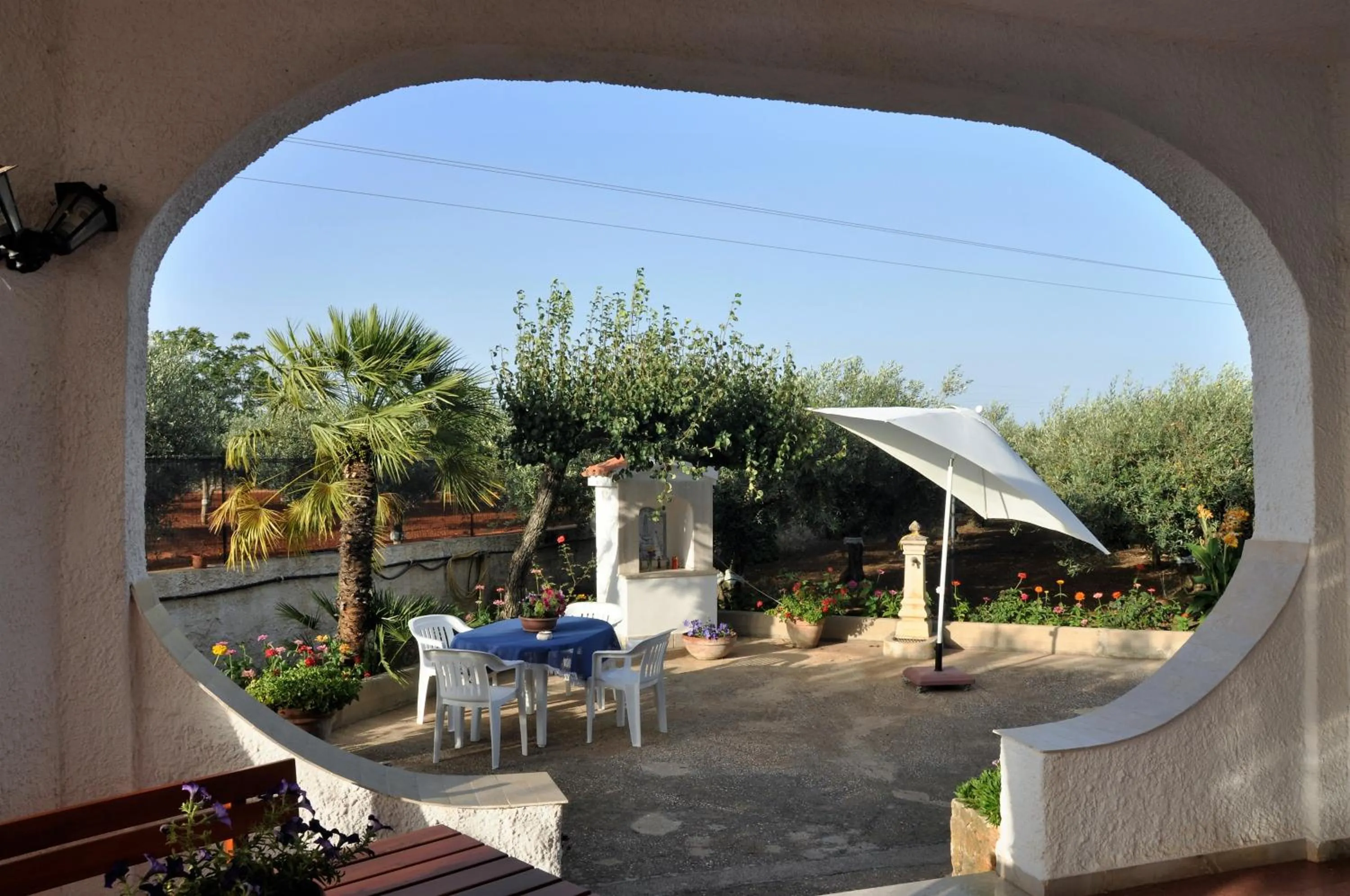 Garden in Santa Teresa